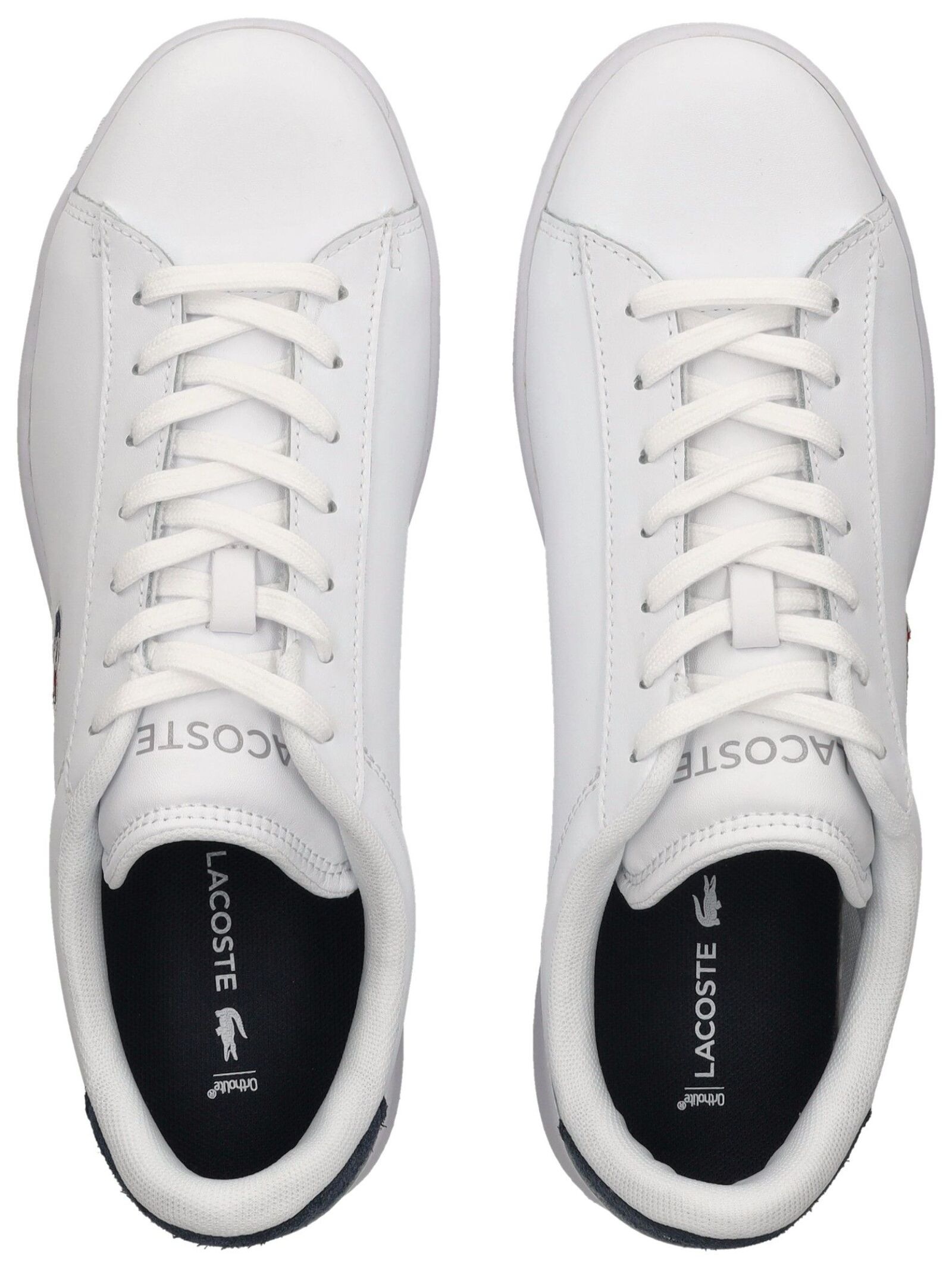Lacoste Sneaker »lacoste Sneaker Leder«