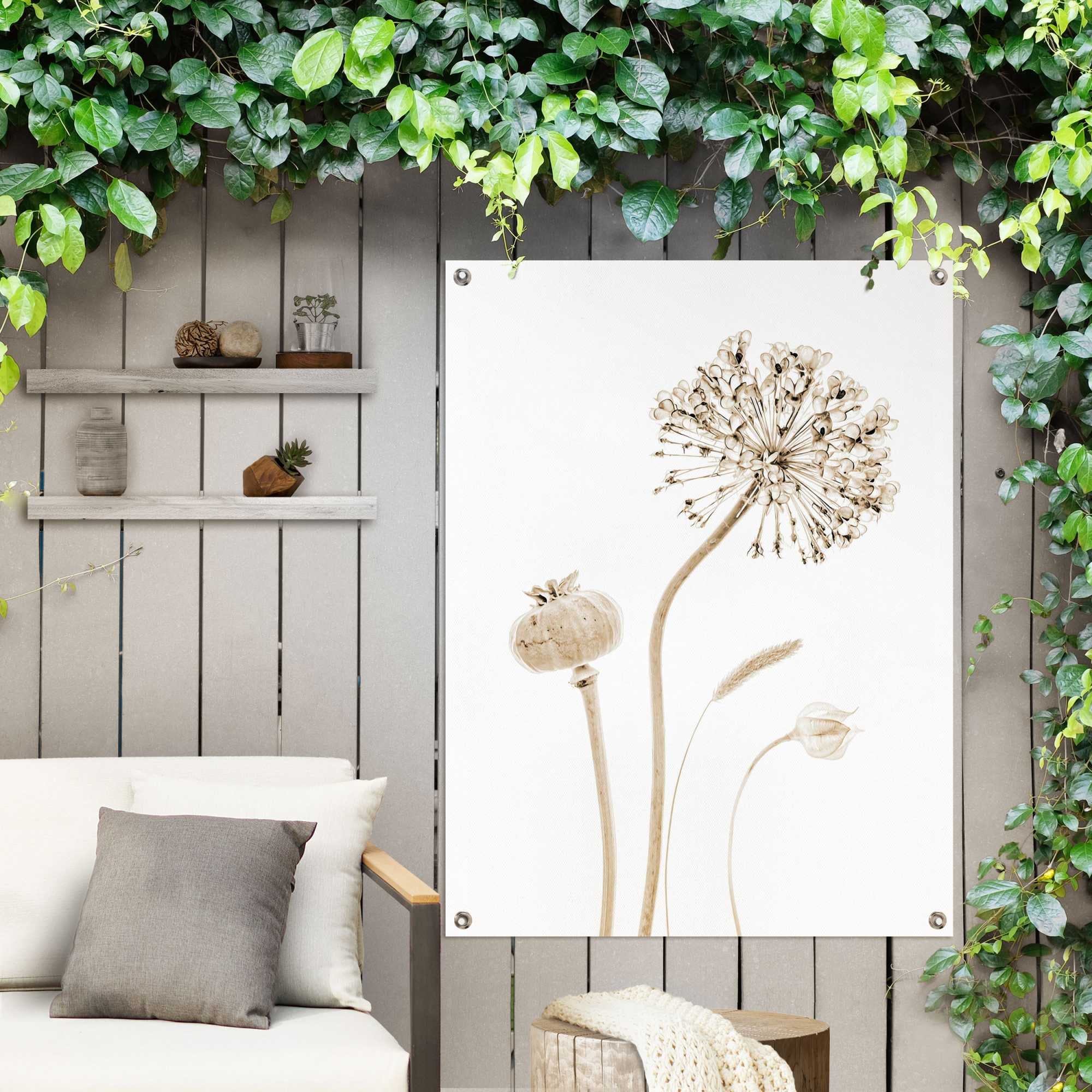 Reinders! Poster »Trockenblumen«, Outdoor für Garten oder Balkon