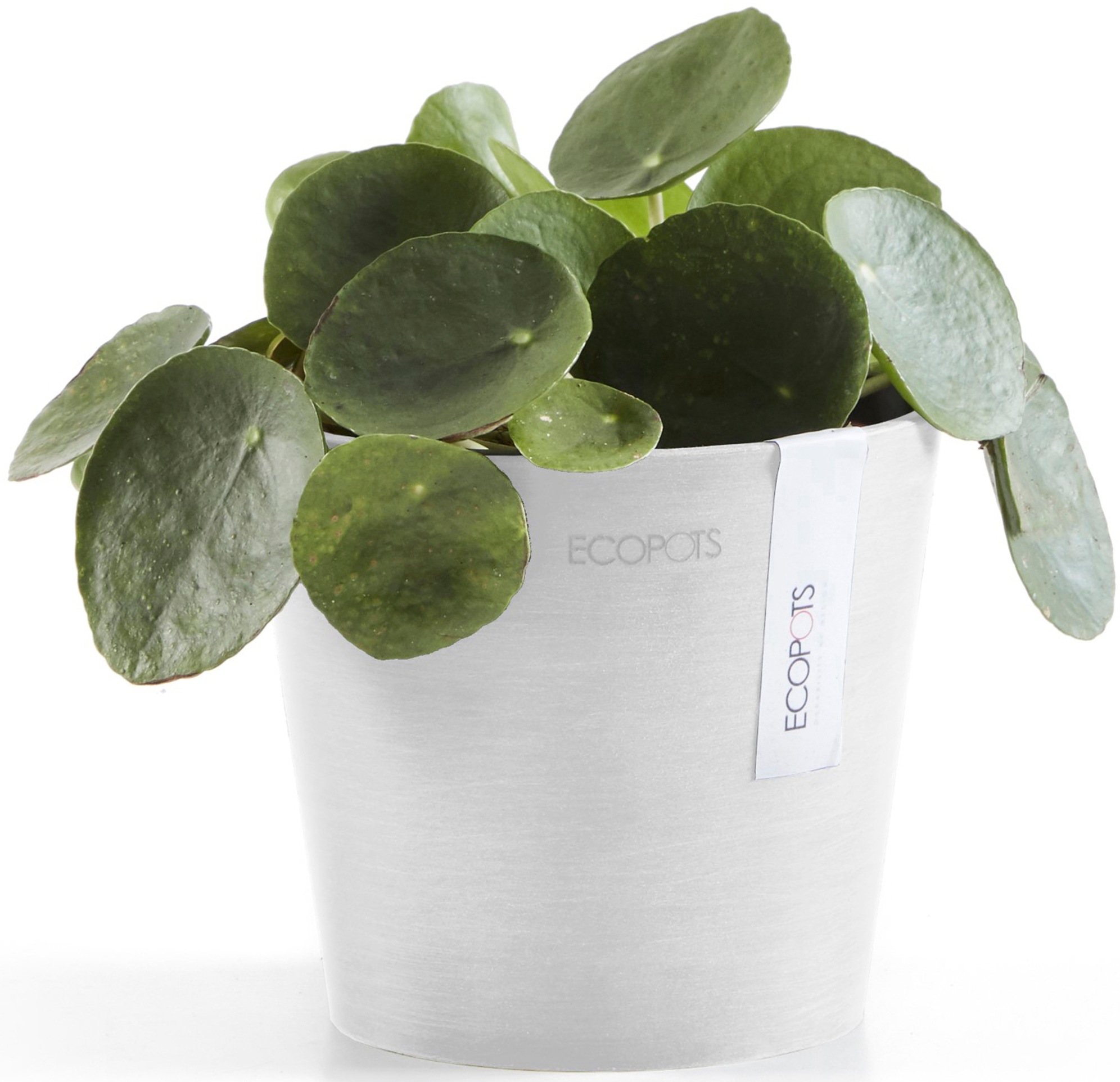 ECOPOTS Blumentopf »Amsterdam Mini 13 Weiß«, für den Innenbereich