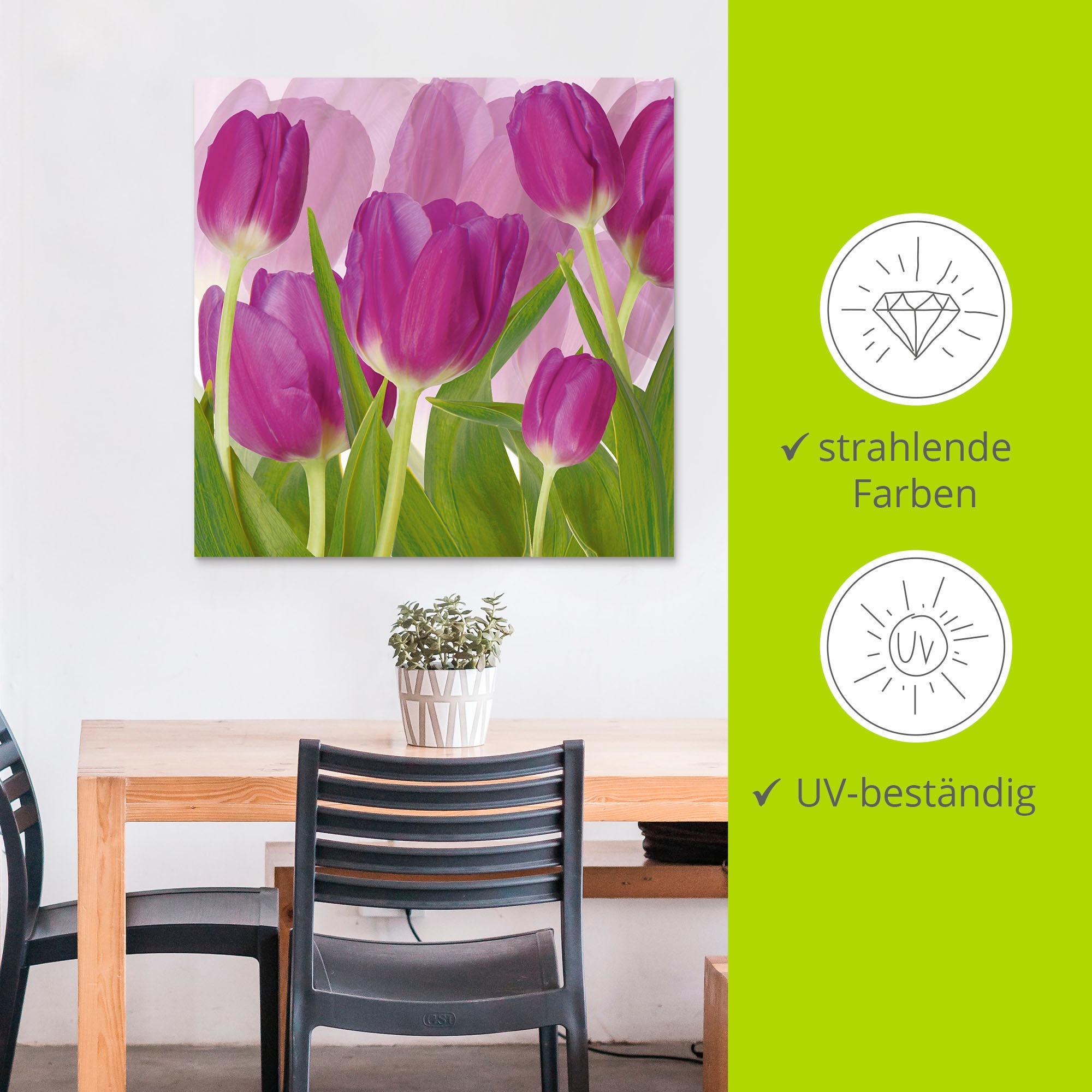 Artland »Tulpenfeld lila« Blumen 1 Stk. tlg. als Alubild, Leinwandbild in verschied. Größen