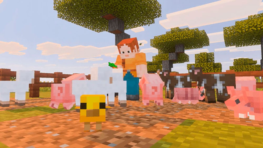 Nintendo Switch 2 Spielesoftware »Minecraft« Nintendo Switch 2