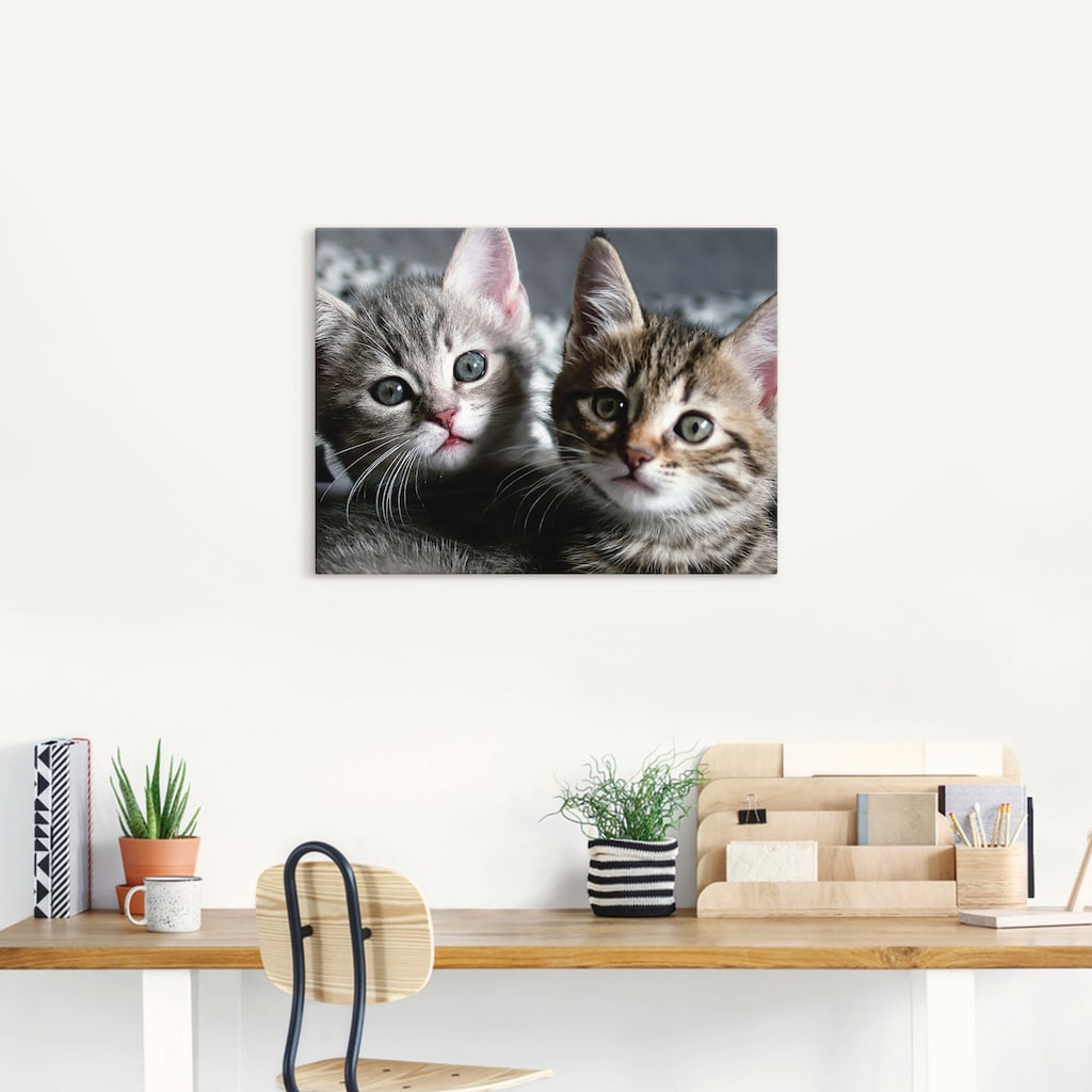 Artland Wandbild »Katze«, Haustiere, (1 St.)