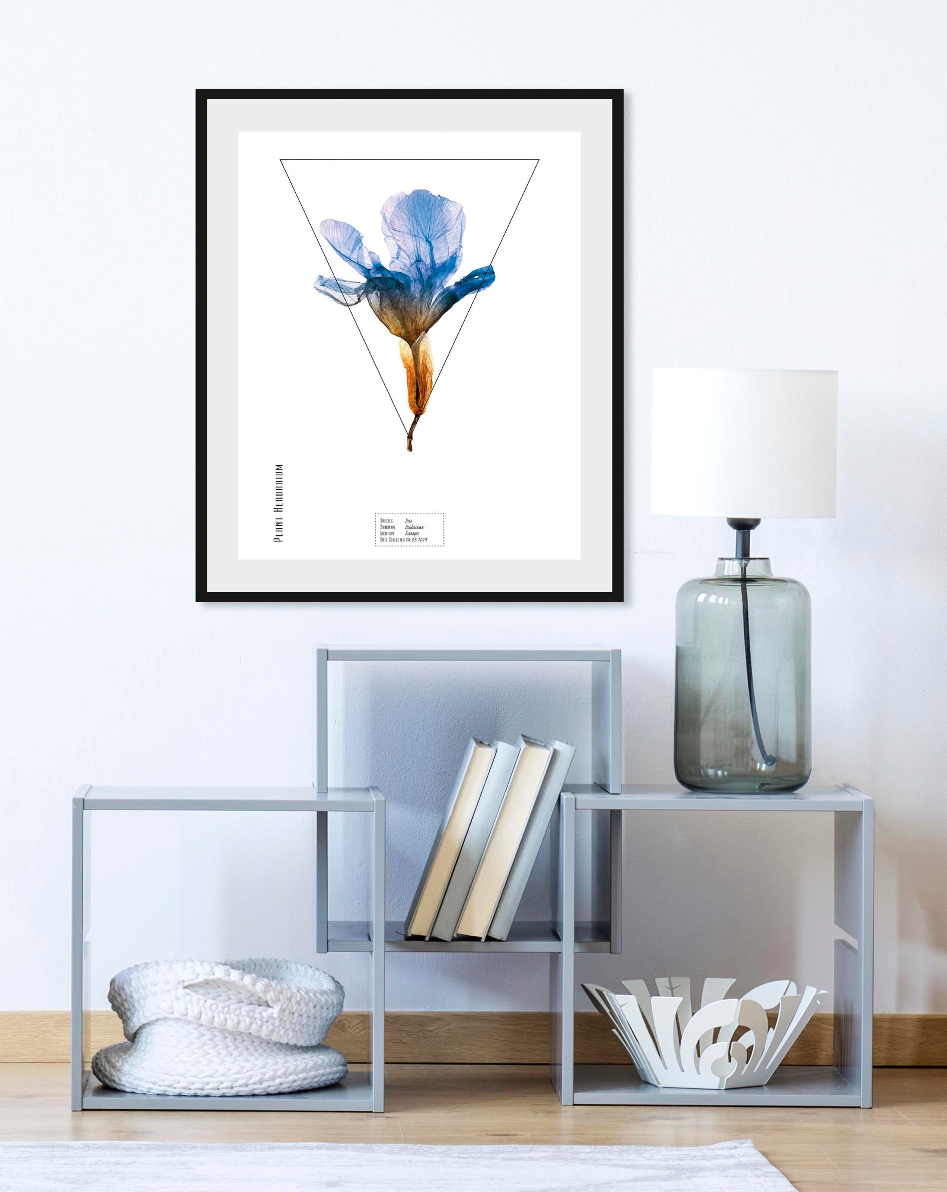 queence Bild "Iris" Pflanzen Pflanzenbilder Schriftzug 1 Stk. tlg. HD Premium Poster-Druck inkl. Holzrahmen