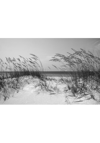 Papermoon Fototapetas »Strand juoda spalva & Wei...