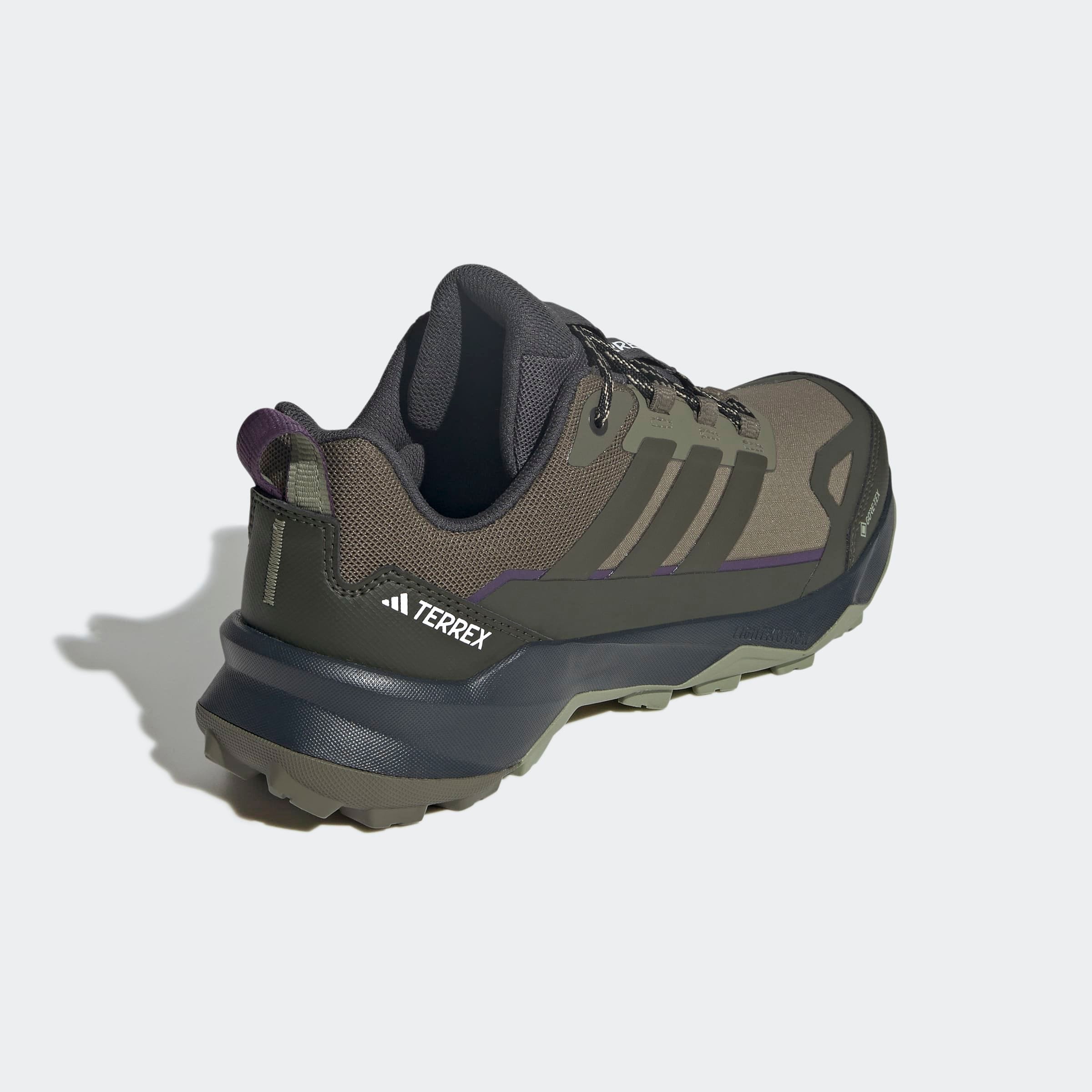 adidas TERREX Wanderschuh »TERREX SKYCHASER AX5 GORE-TEX«