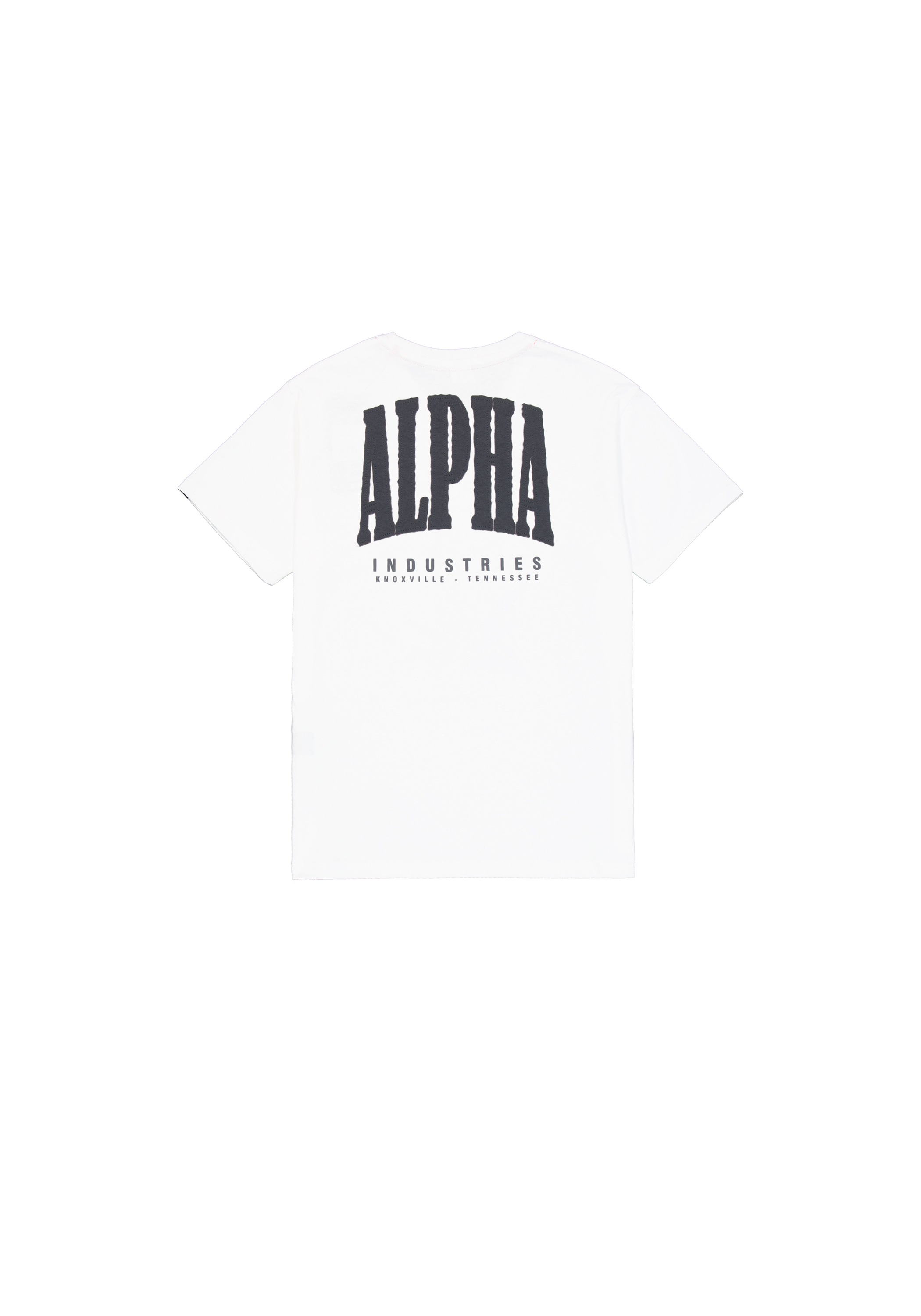 Alpha Industries T-Shirt »Coach T-Shirt Back Embroidery T-Shirt«
