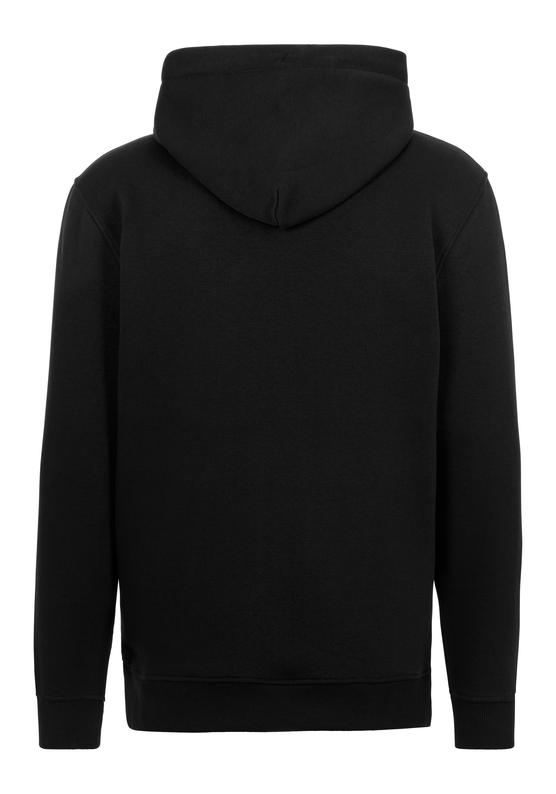 Tommy Jeans Hoodie »TJM REG LINEAR LOGO HOODIE EXT«, mit Logo-Stickerei