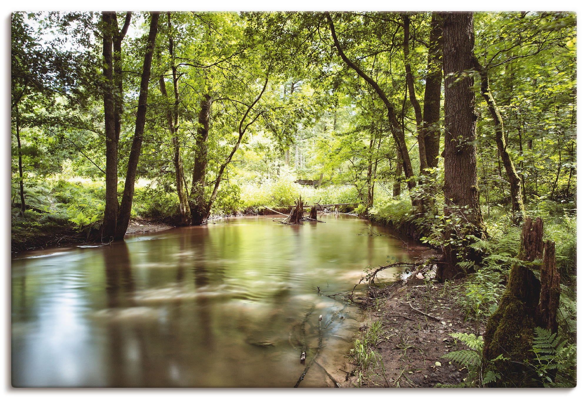 Artland Leinwandbild "Spessart II", Wald, (1 St.), auf Keilrahmen gespannt