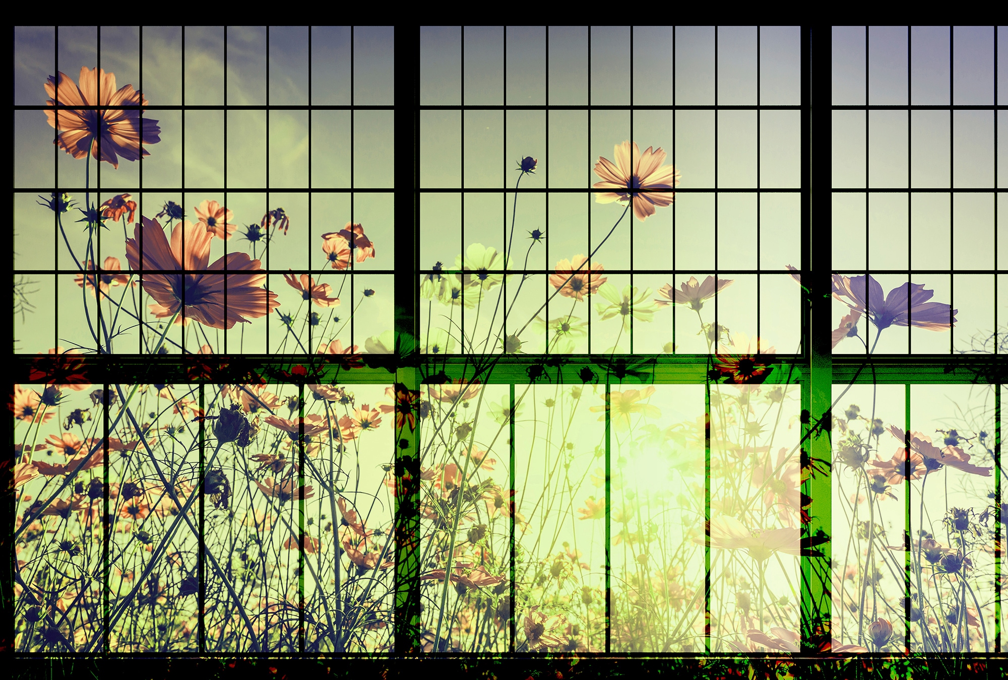 living walls Fototapete "Walls by Patel Meadow 2" glatt Vlies, Wand, Schräge