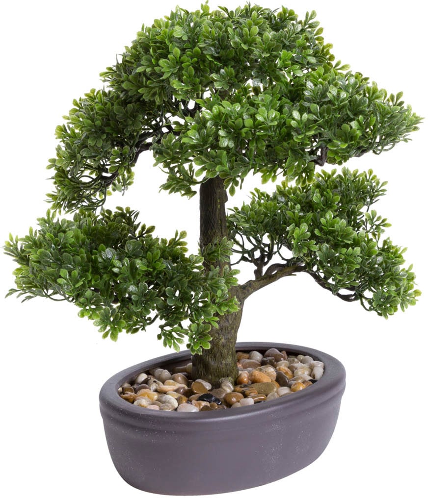 Botanic-Haus Kunstbonsai "Ficus Bonsai"