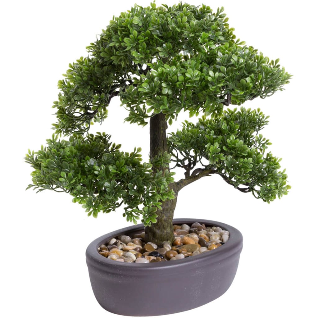 Botanic-Haus Kunstbonsai »Ficus Bonsai«