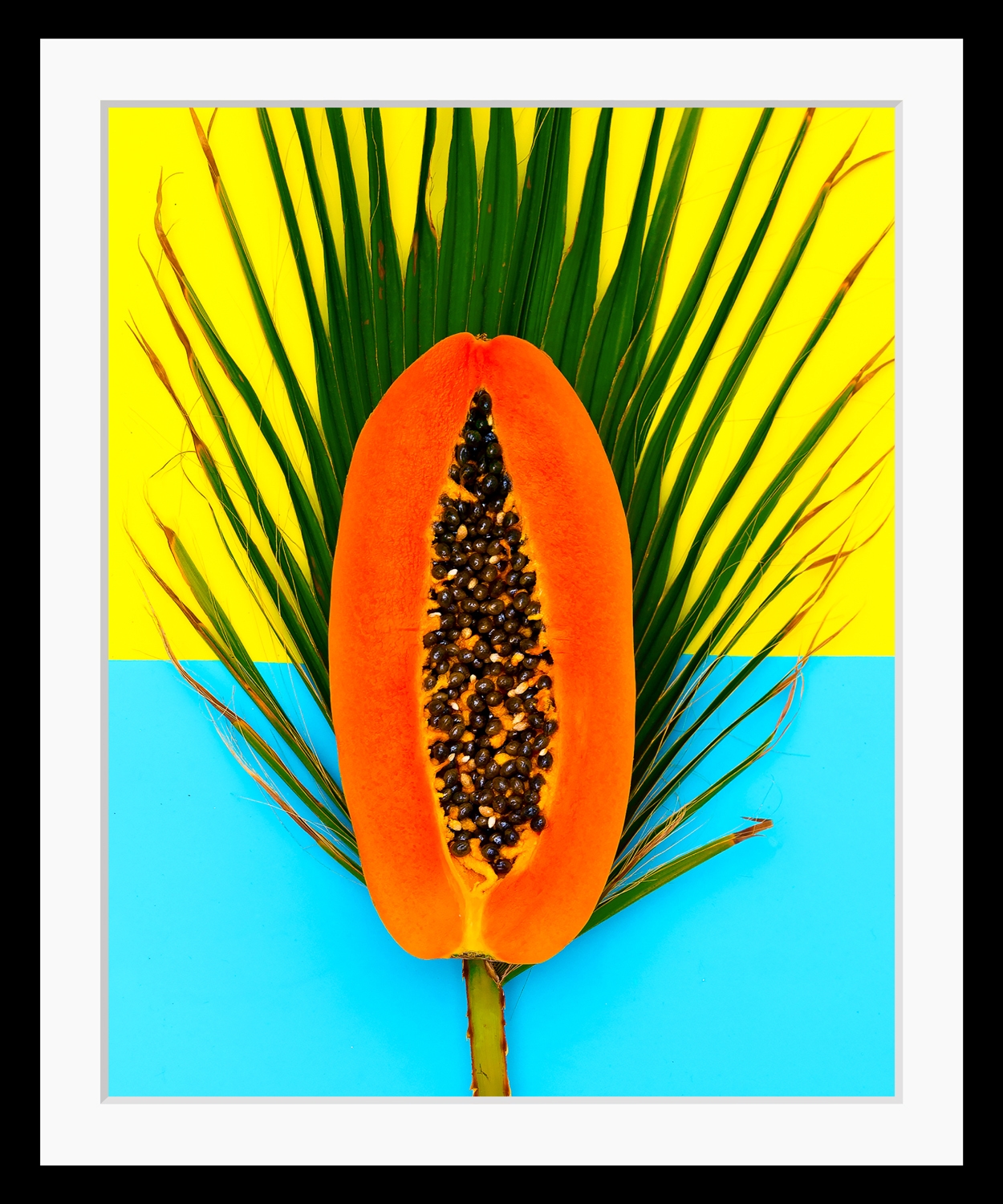 queence Bild "Papaya", Obst-Obst Bilder-Blätter-Essen-Lebensmittel, HD Prem günstig online kaufen