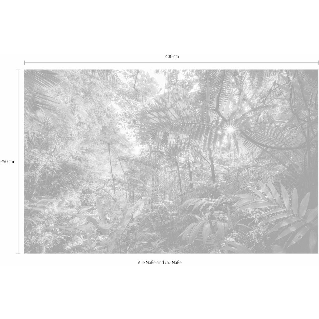 Komar Vliestapete »Into The Jungle«, 400x250 cm (Breite x Höhe), Vliestapete, 100 cm Bahnbreite