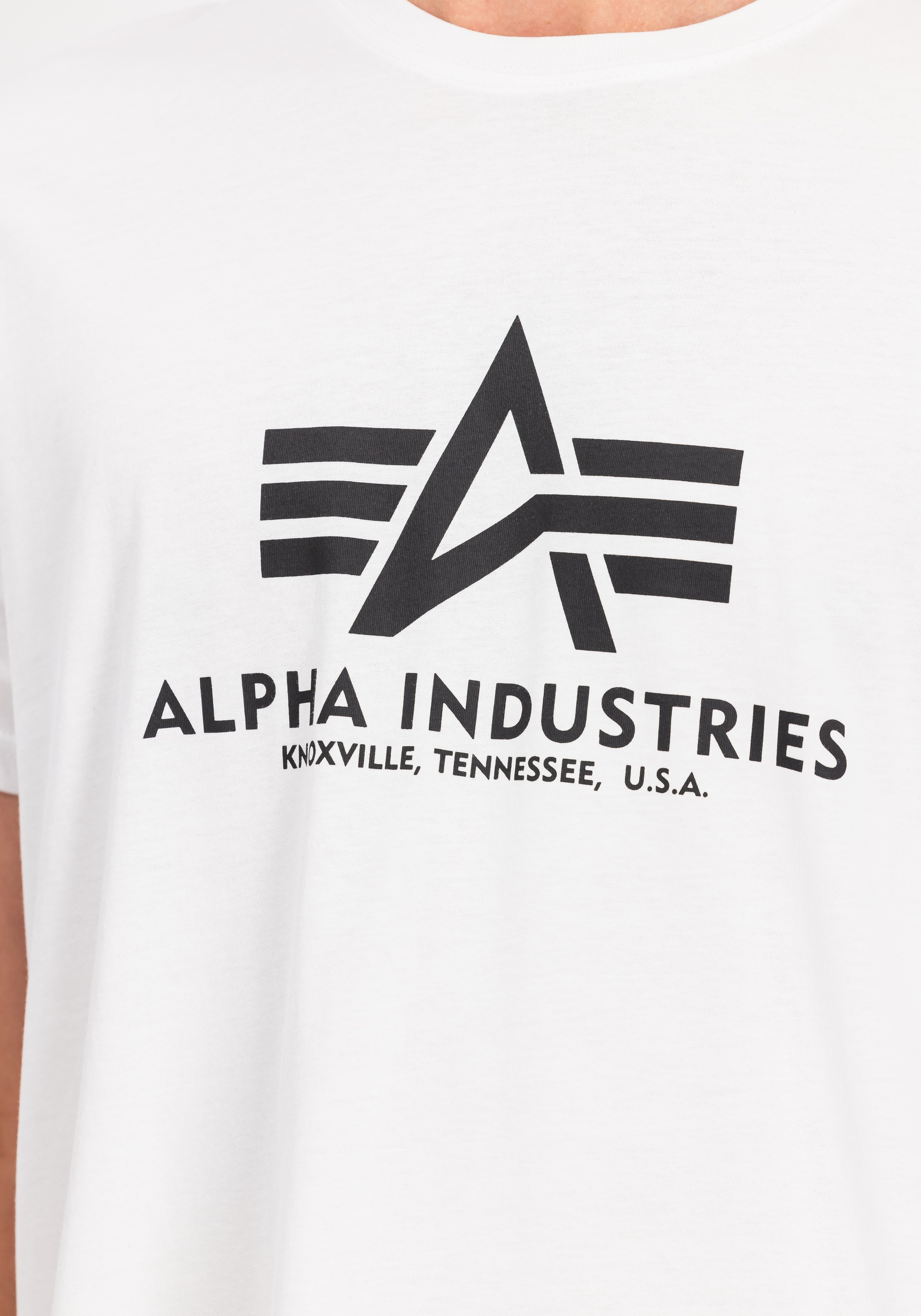 Alpha Industries T-Shirt »Alpha Industries Men - T-Shirts Basic T-Shirt BL 2 Pack«