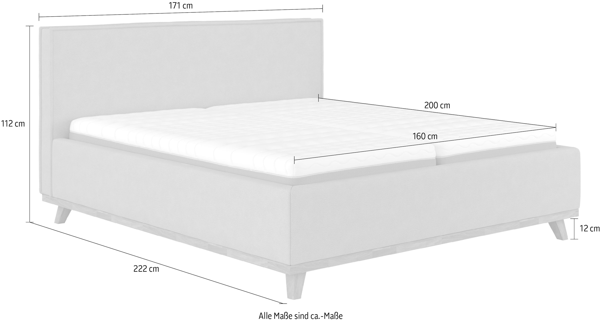 COTTA Polsterbett »MILLI I wahlweise mit Bettkasten« erhältlich in den Größen 160x200cm & 180x200cm