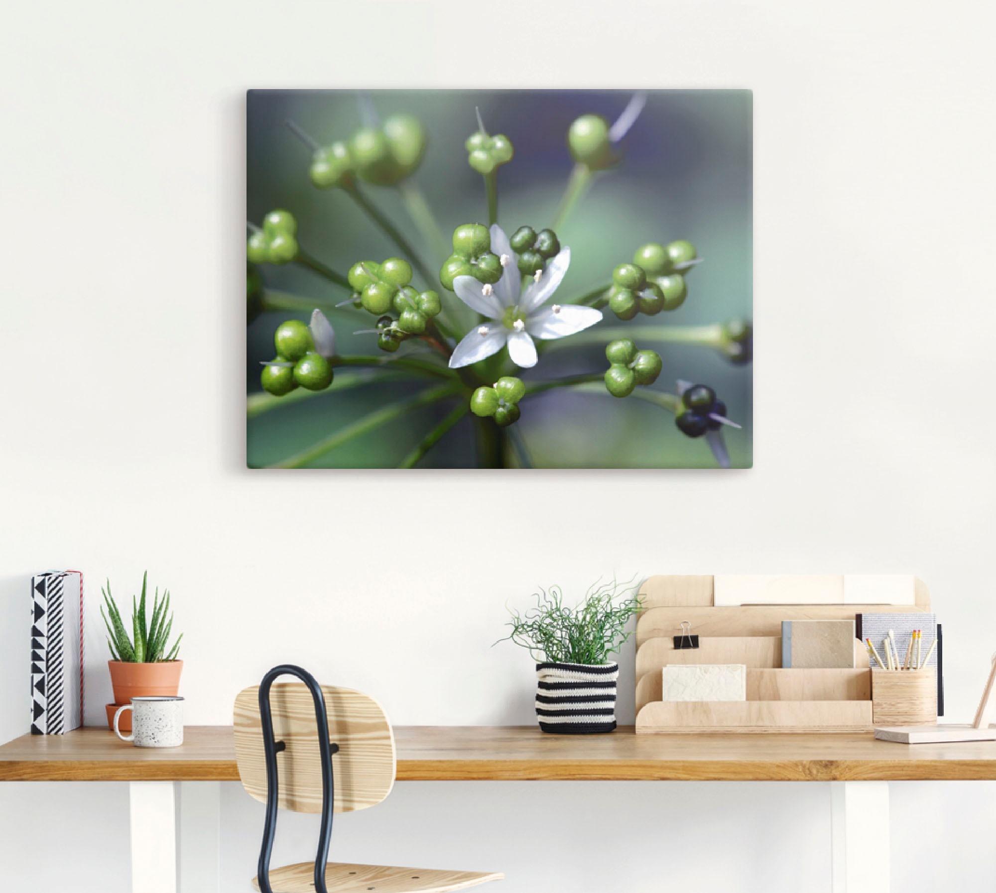 Artland Wandbild »Bärlauchblüte«, Blumen, (1 St.), als Leinwandbild, Poster in verschied. Größen
