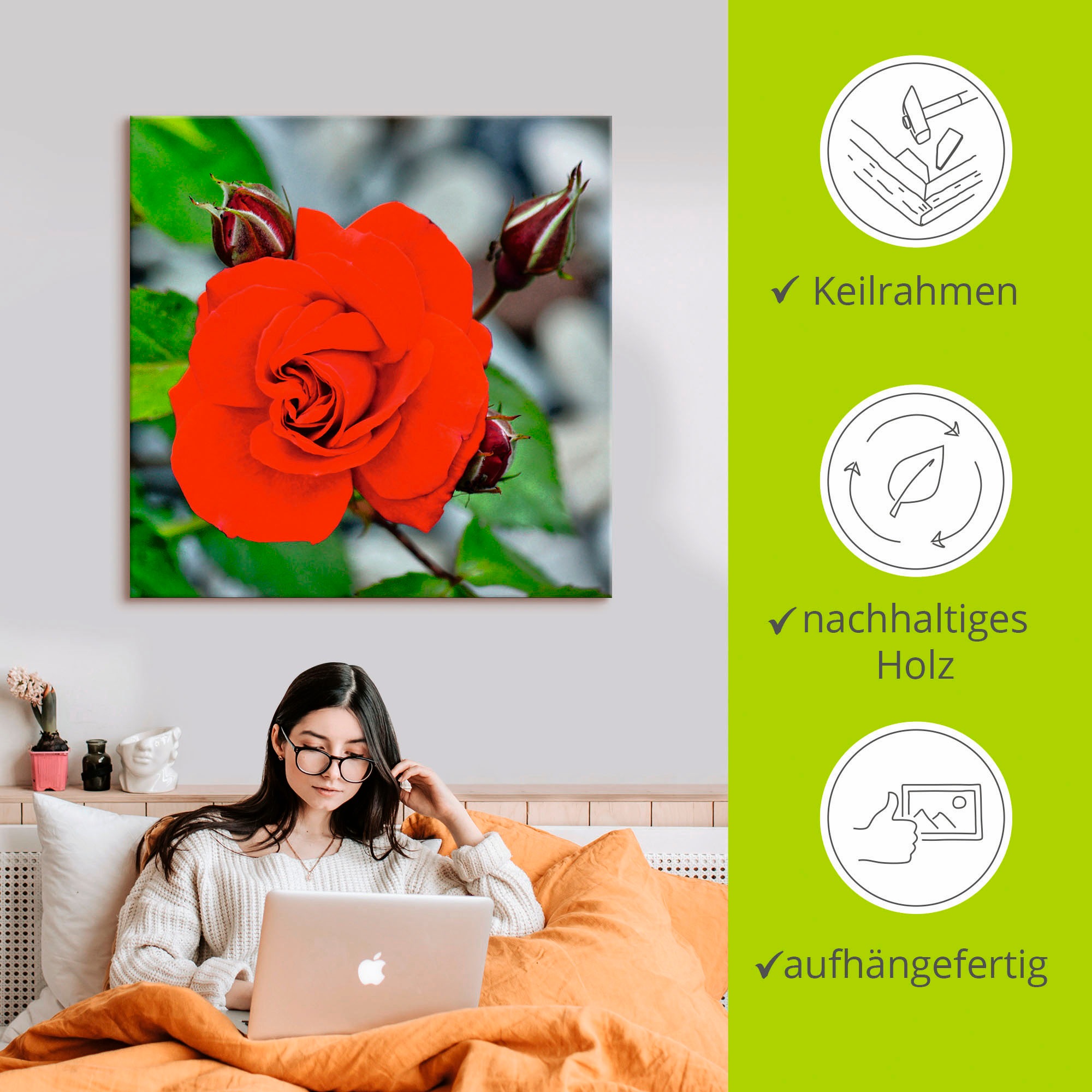 Artland Wandbild »Rote Rosenblüte mit Knospen«, Blumen, (1 St.), als Leinwandbild, Wandaufkleber in verschied. Größen