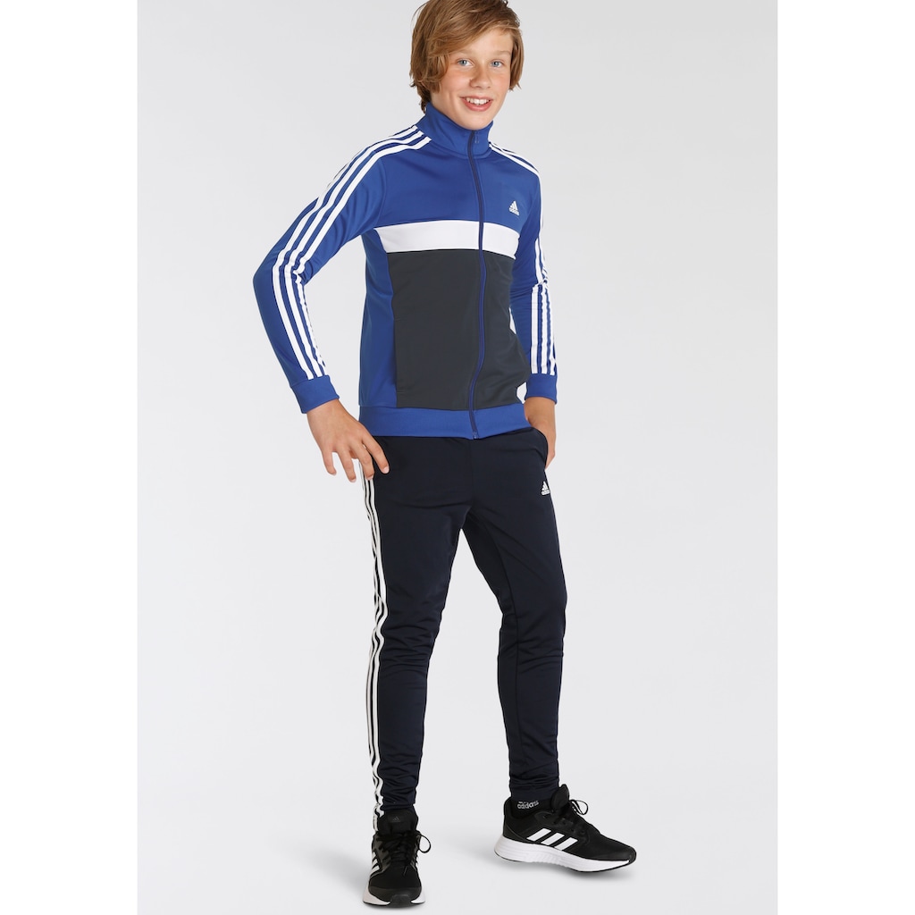 adidas Sportswear Trainingsanzug »ESSENTIALS 3-STREIFEN TIBERIO«, (2 tlg.)