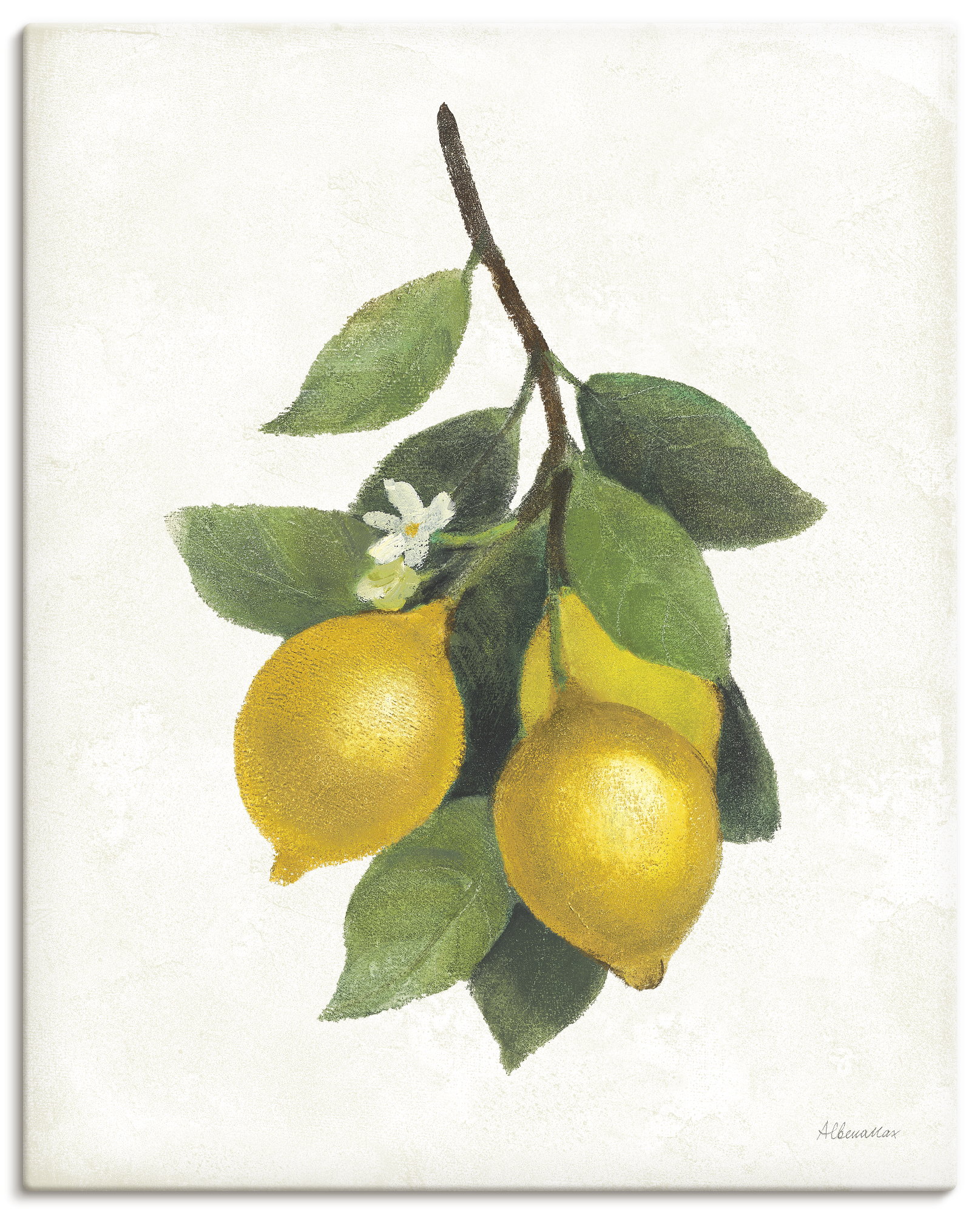 Artland "Lemon Branch III" Pflanzenbilder 1 Stk. tlg. als Alubild, Leinwandbild, Poster, Wandaufkleber in verschied. Größen