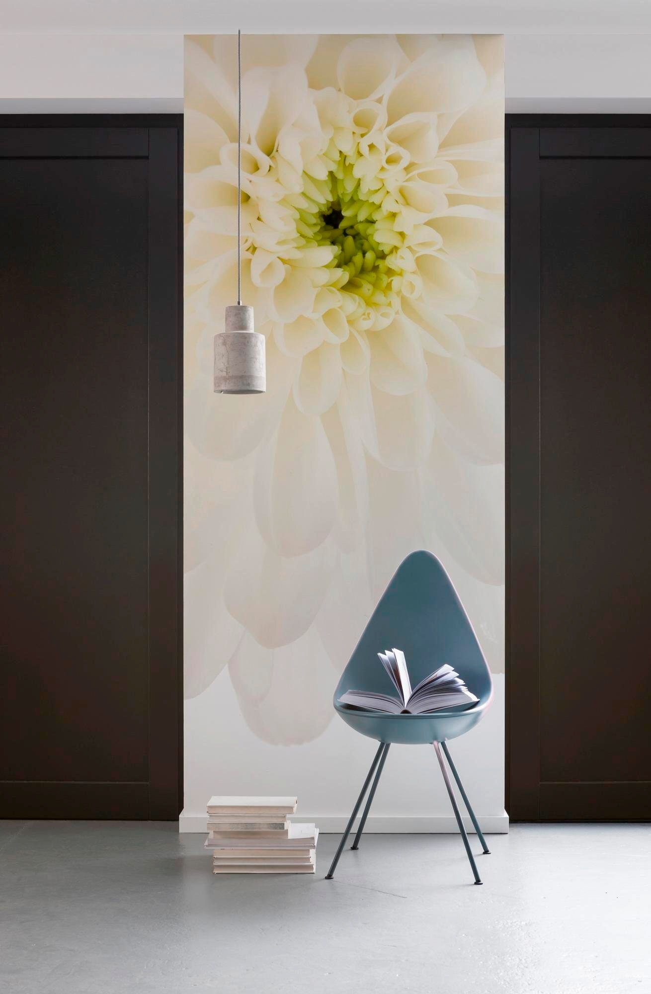 Komar Vliestapete »Digitaldruck Vlies -  Beautiful - Größe 100 x 280 cm« bedruckt glatt Wohnzimmer, Schlafzimmer