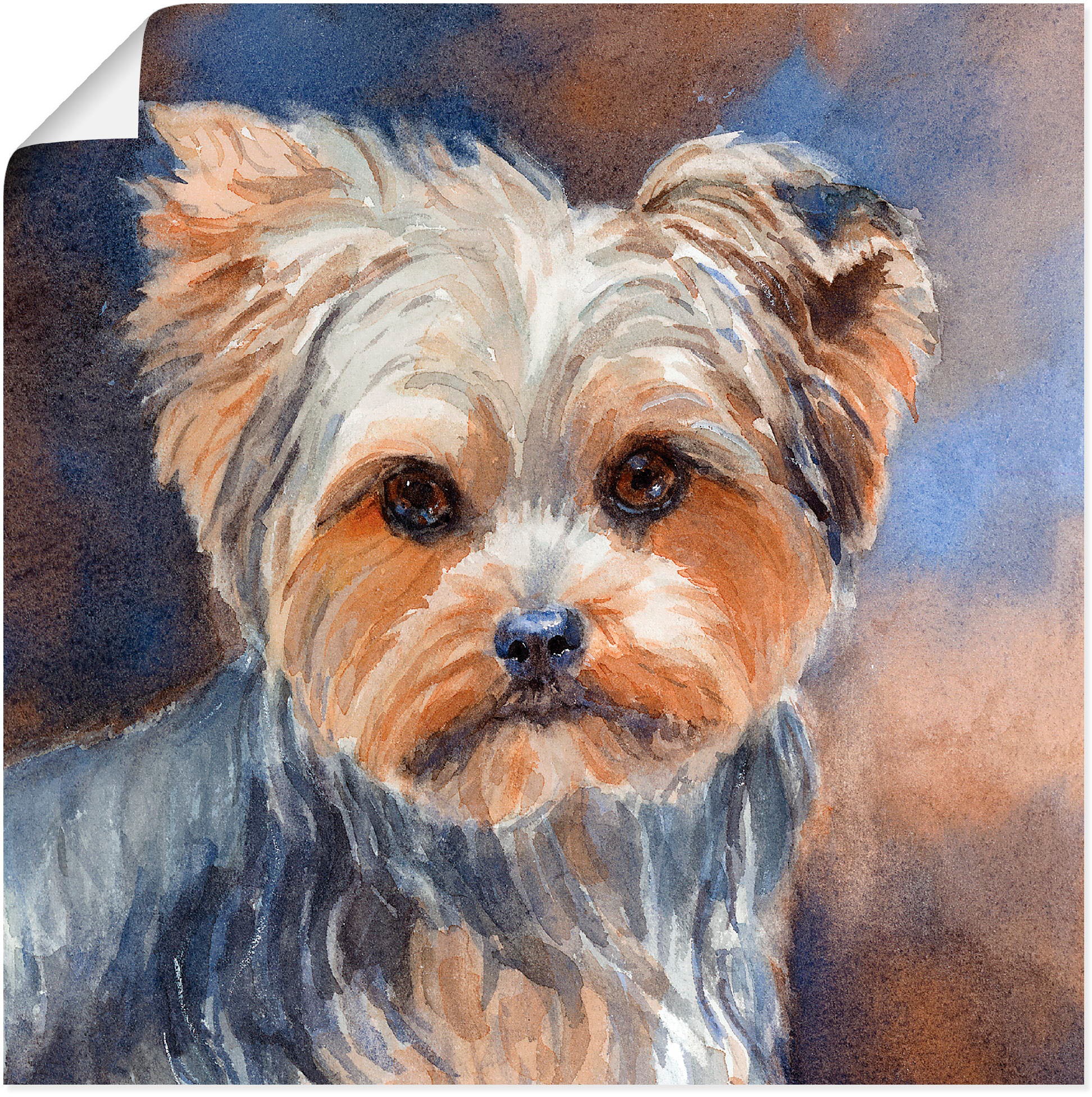 Artland Wandbild "Sadie Belle Yorkshire Terrier", Haustiere, (1 St.), als L günstig online kaufen