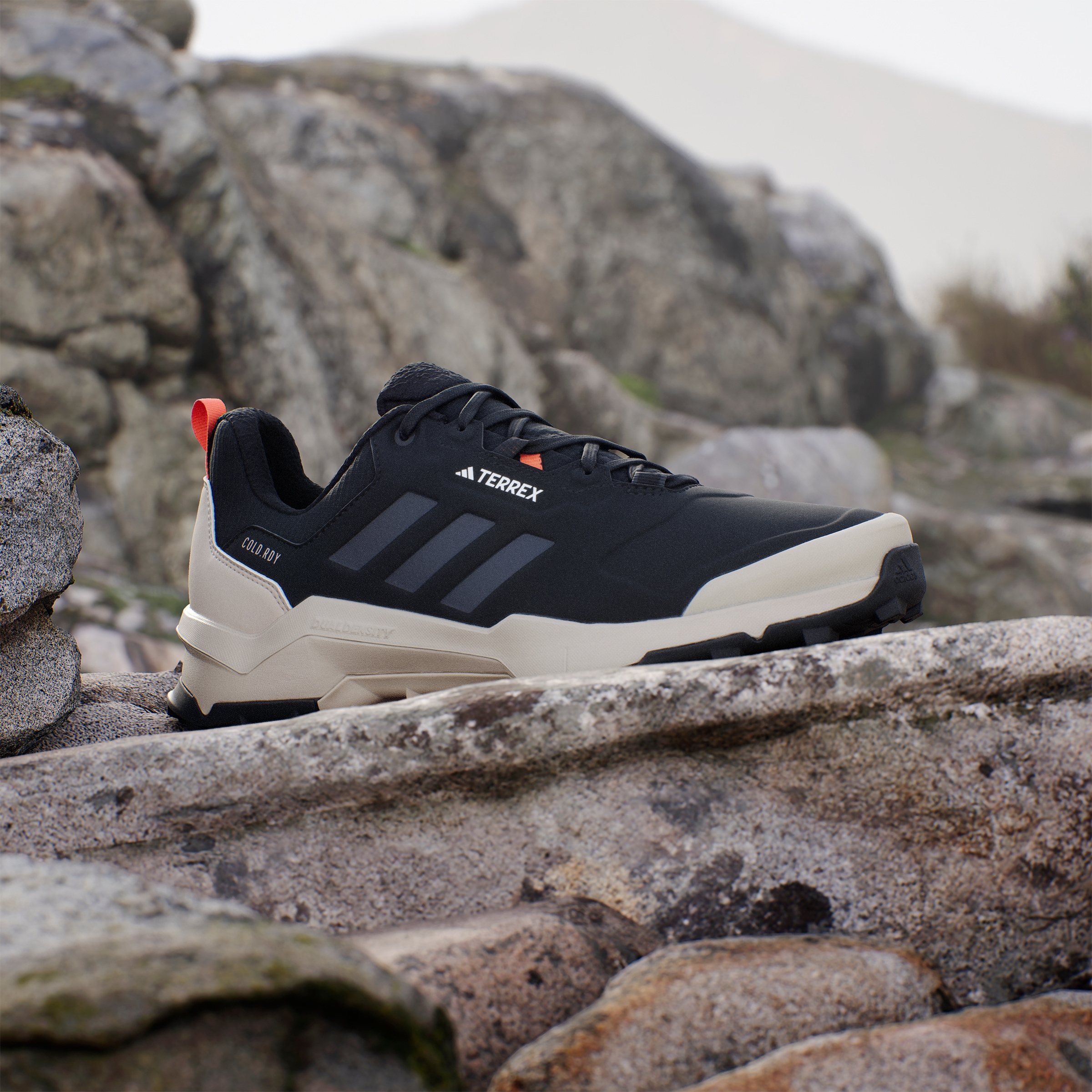 adidas TERREX Wanderschuh »TERREX AX4 BETA COLD.RDY«, wärmend