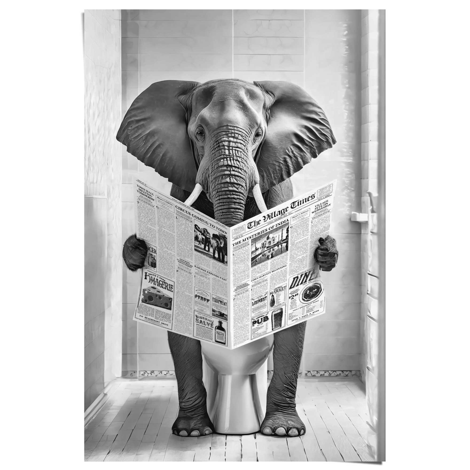 Reinders Poster "Elefant auf der Toilette" Elefant Elefanten Bilder Tiere Toilette - Schwarz-Weiß - 150 gr. Papier - Tiere - 61x91,5 cm