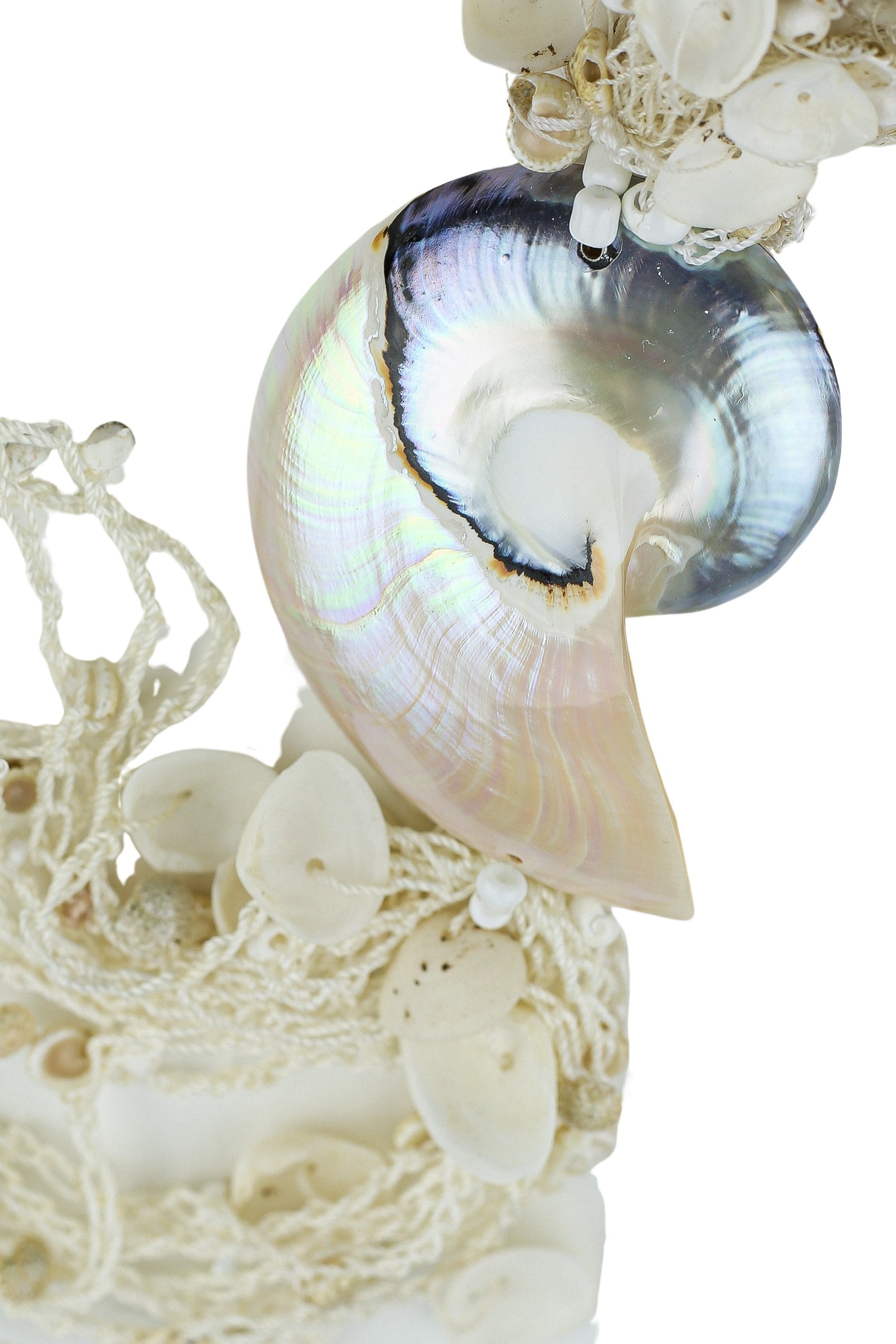 Thumbnail - COLLEZIONE ALESSANDRO Kette mit Anhänger "Arielle" mit echten Muscheln