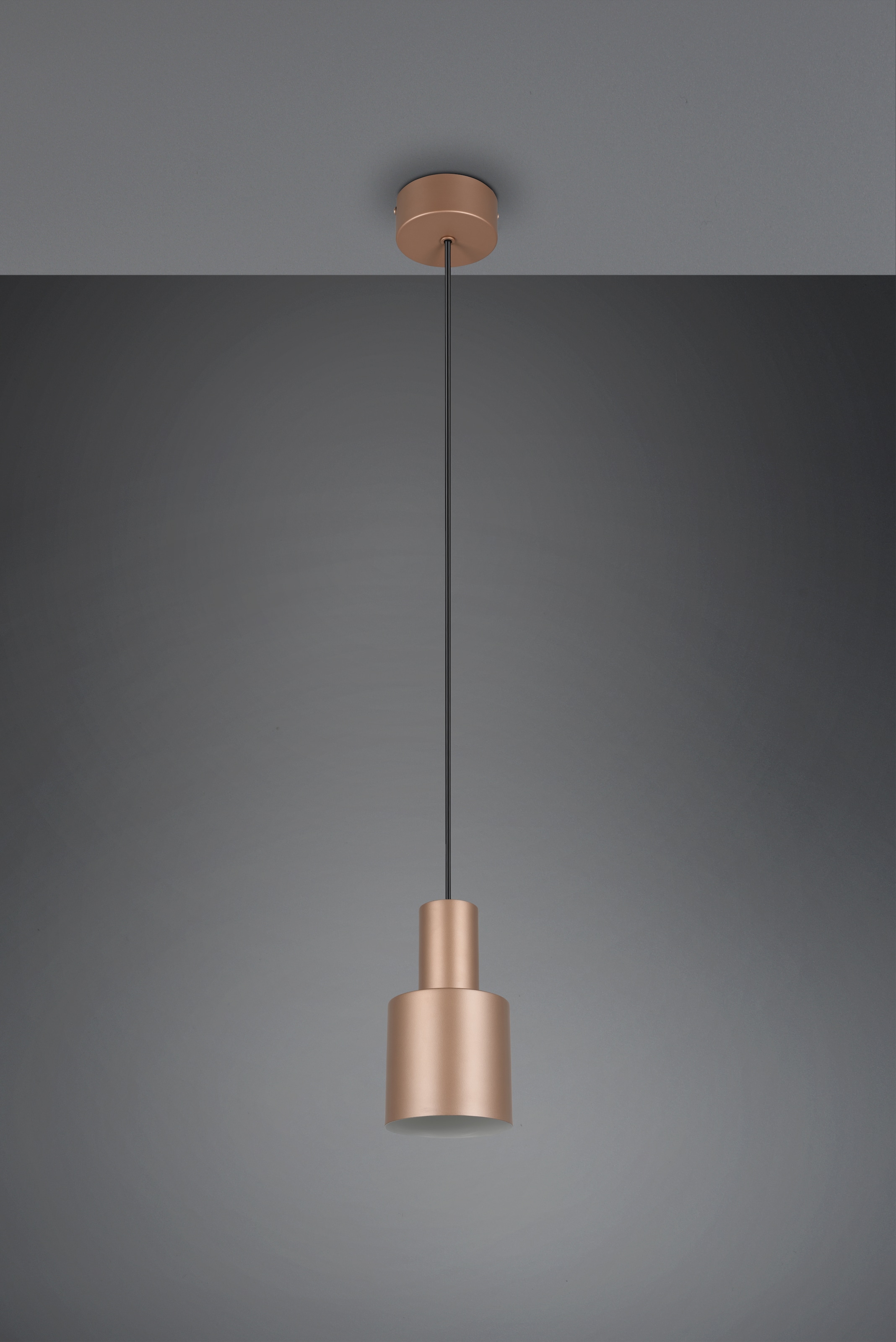 TRIO Leuchten Pendelleuchte »AGUDO, Hängelampe 1-flammig, exkl 1xE27 max 10W, höhenverstellbar«, 1 flammig, Leuchtmittel E27 | Leuchtmittel wechselbar, Hängelampe Ø 12cm, bis max 150cm Abhängung, Küche Esszimmer Wohnzimmer