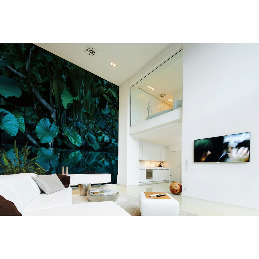 living walls Fototapete »Designwalls Tropical«