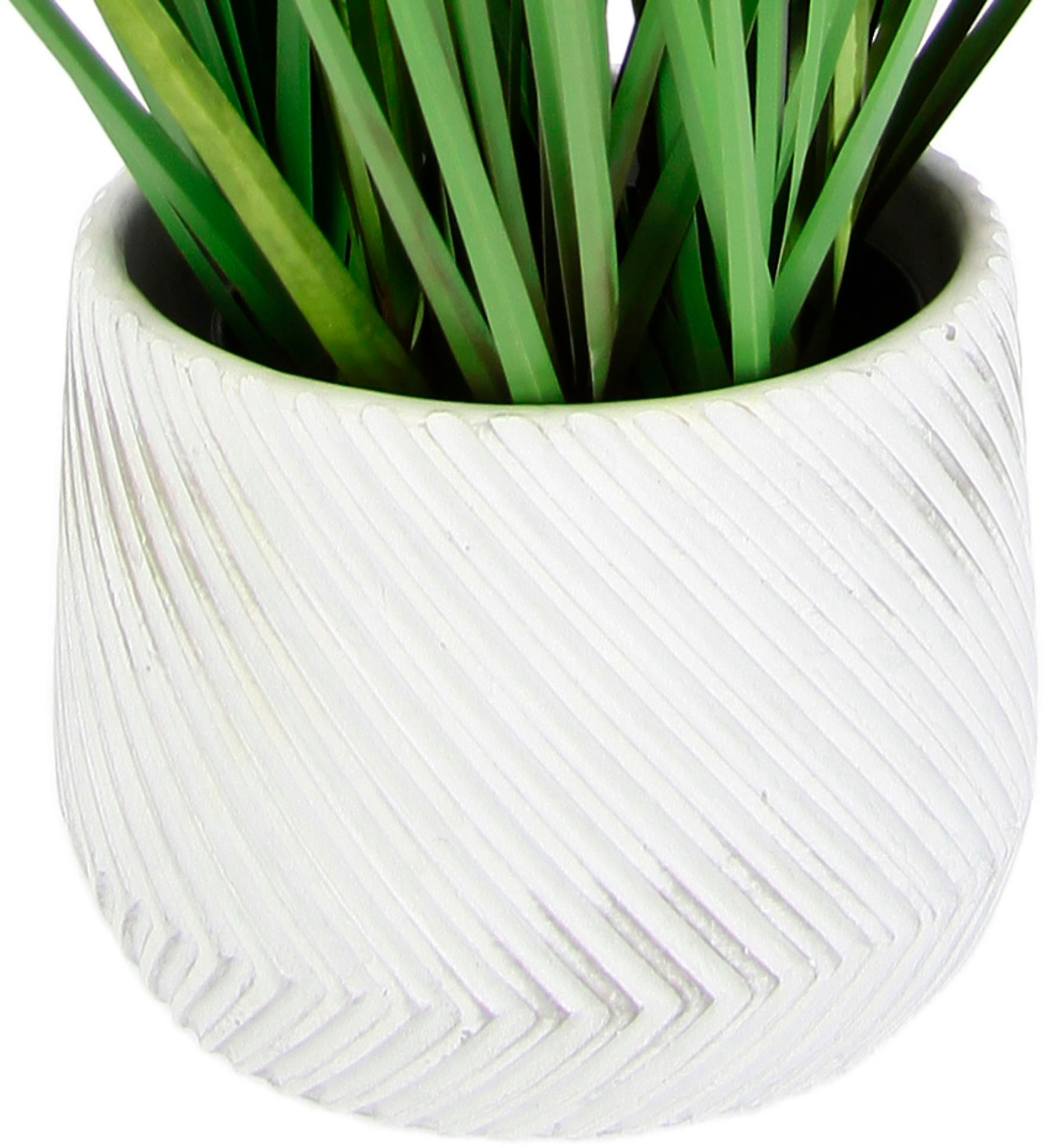 Thumbnail - I.GE.A. Kunstpflanze "Fuchsschwanzgras" Mit Übertopf Kunstgras Deko Borstenhirse Panicoideae Süßgräser Setaria