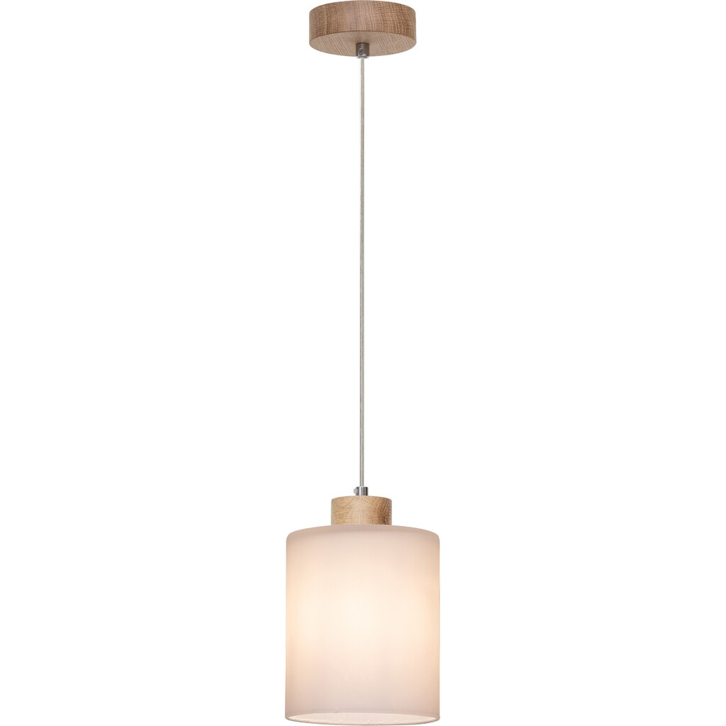 BRITOP LIGHTING Pendelleuchte »ZEFIR«, 1 flammig-flammig