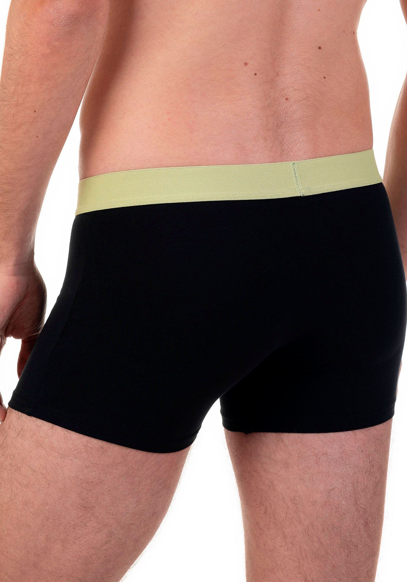 Bruno Banani Boxer, (2er Pack), mit kontrastreichem Logobund