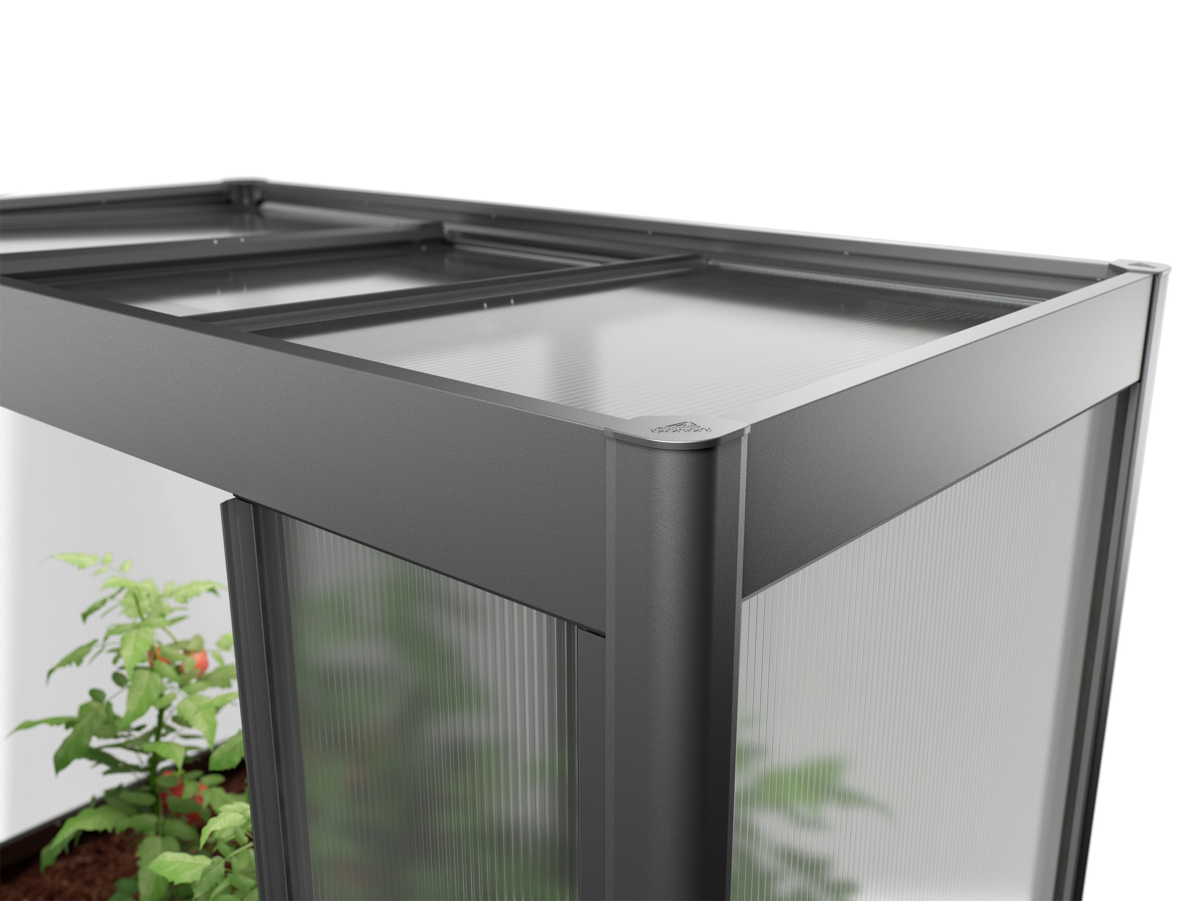 Biohort Gewächshaus »Florentina Gr.2x1 mini, verschieden Farben« kompaktes Gewächshaus für hochwachsende Pflanzen