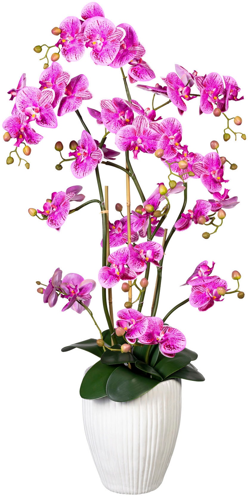 Creativ green Kunstorchidee "Deko-Orchidee Phalaenopsis XL im Keramiktopf"