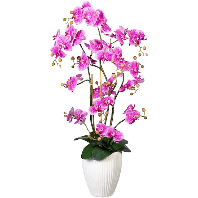 BAUR XL Kunstorchidee bestellen Phalaenopsis green »Deko-Orchidee Creativ im Keramiktopf« |