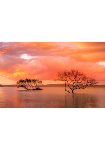 Papermoon Fototapetas »MANGROVE-BÄUME WOLKEN GEB...