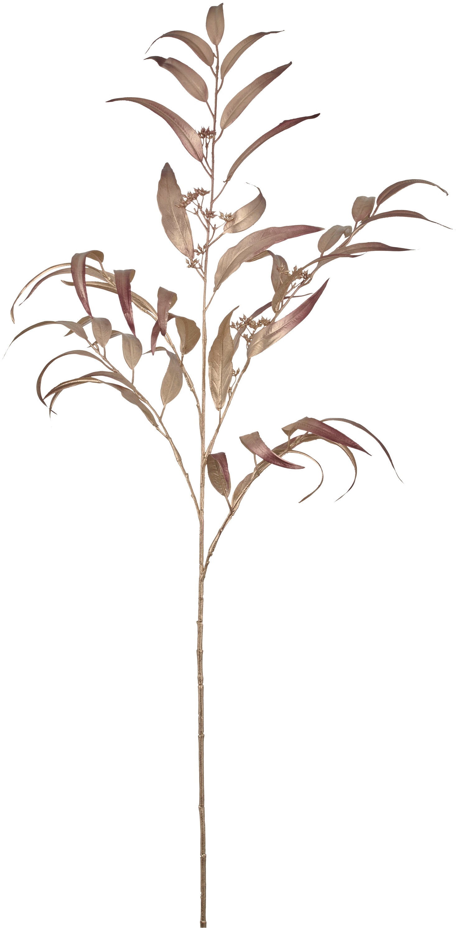 Creativ green Kunstzweig "Eukalyptuszweig" in festlicher Farbe günstig online kaufen