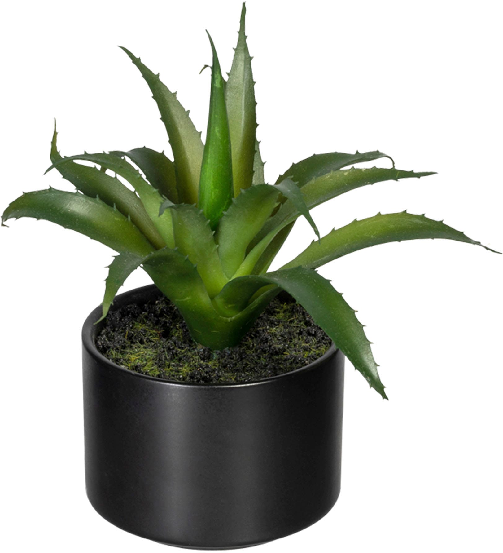 Creativ green Künstliche Zimmerpflanze »Set aus Aloe, Agave und Tillandsie«, im Keramiktopf, 3er Set
