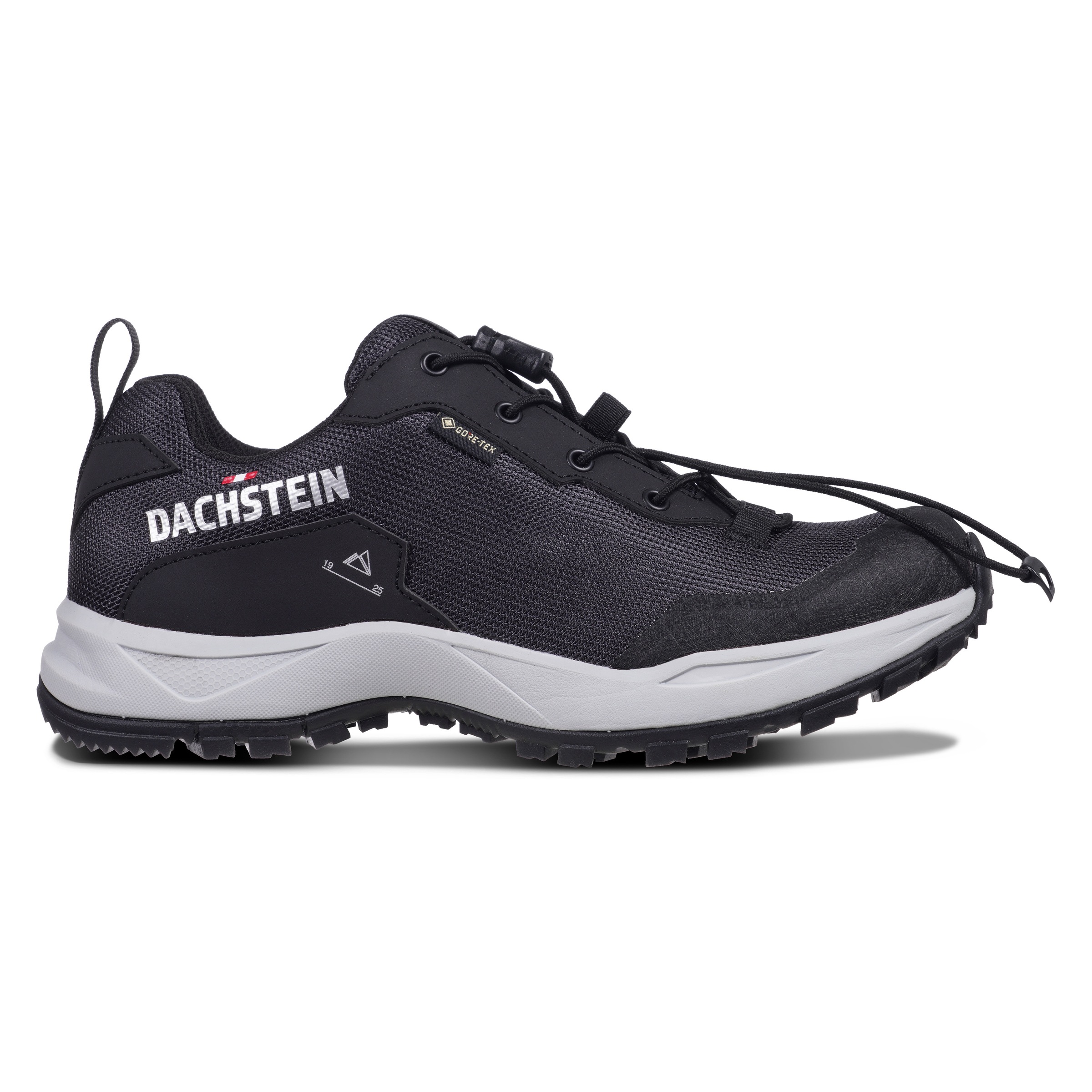 Dachstein Wanderschuh »DELTA ASCENT GTX WMN«, wasserdicht
