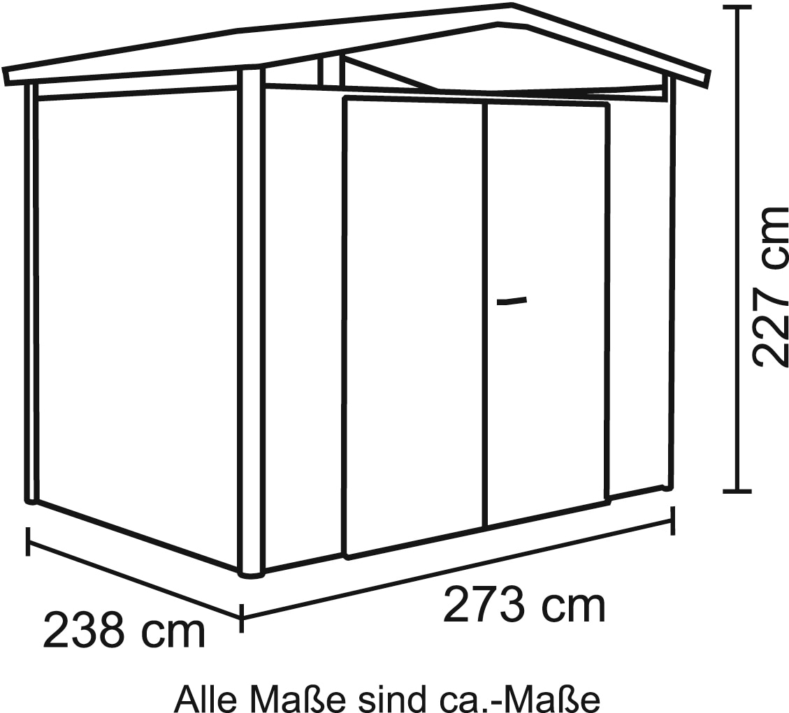 Biohort Gerätehaus "Panorama P3 DT", Metall günstig online kaufen