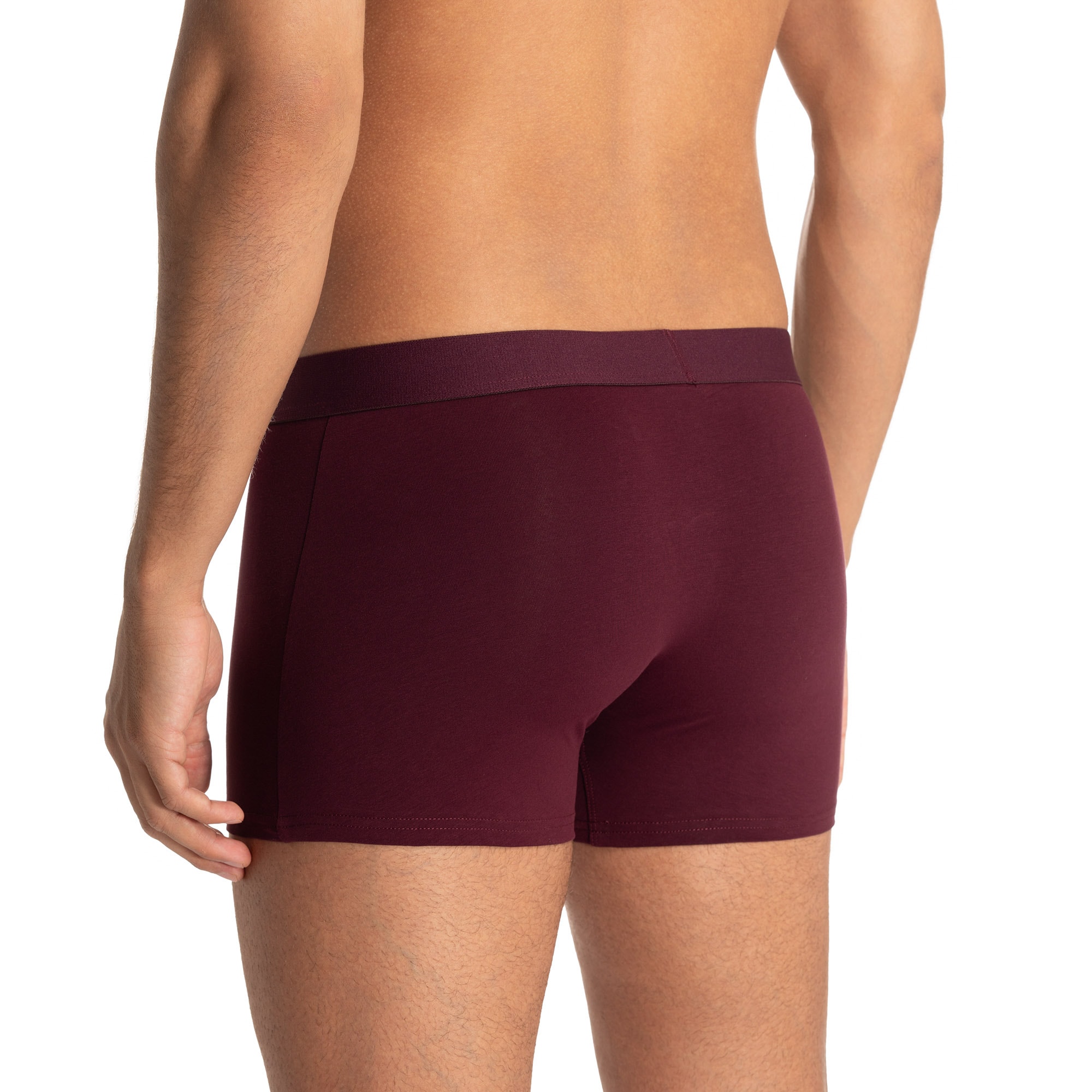Bruno Banani Boxer »Flowing« mit kontrastreichem Logobund