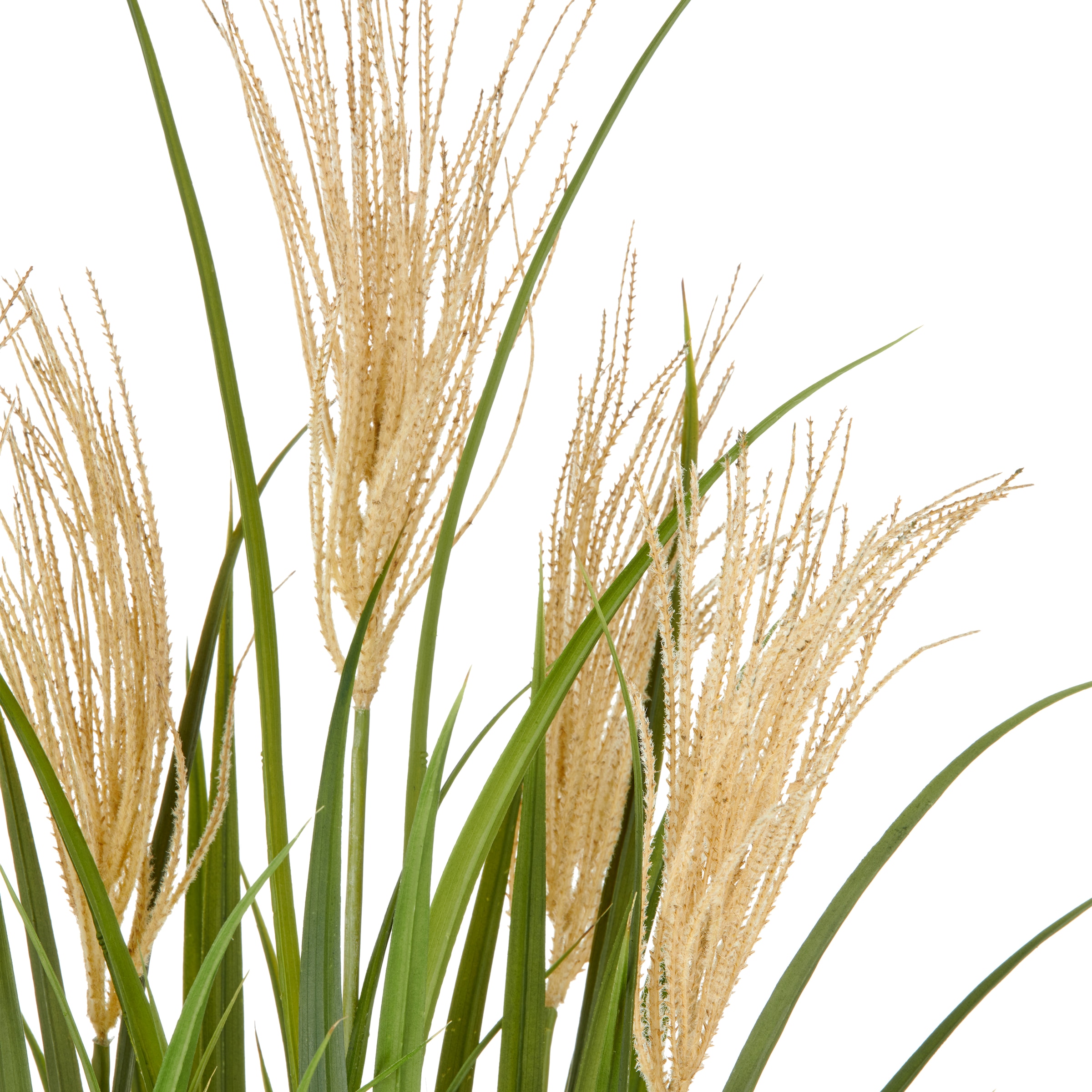 Creativ green Kunstgras "Grasbusch Schilfrohr", im eleganten Topf günstig online kaufen