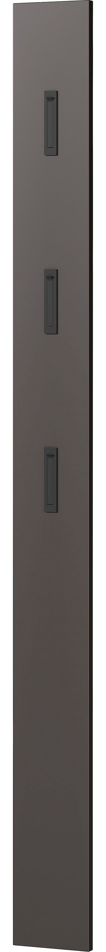GERMANIA Garderoben-Set »Ameca«, (Set, 3 St.), mit Mehrzweckschrank, Spiegel und Garderobenpaneel, geringe Tiefe