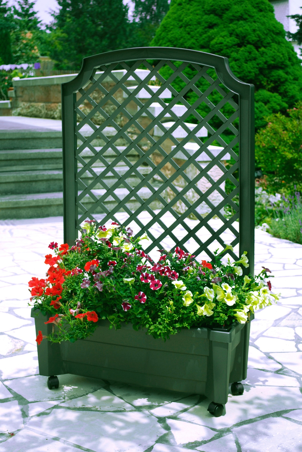 KHW Spalier, mit Pflanzkasten, BxTxH: 79x35x134 cm günstig online kaufen