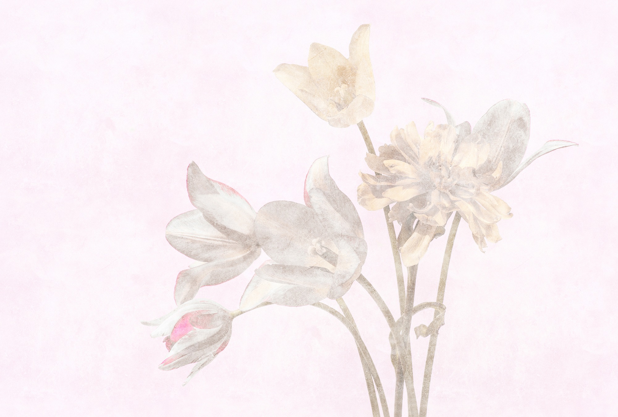 LIVING WALLS Fototapete "Walls by Patel Morning Room", B/L: 4mm x 2,7mm, lila, Wohnzimmer, Tapeten, Vlies, Wand