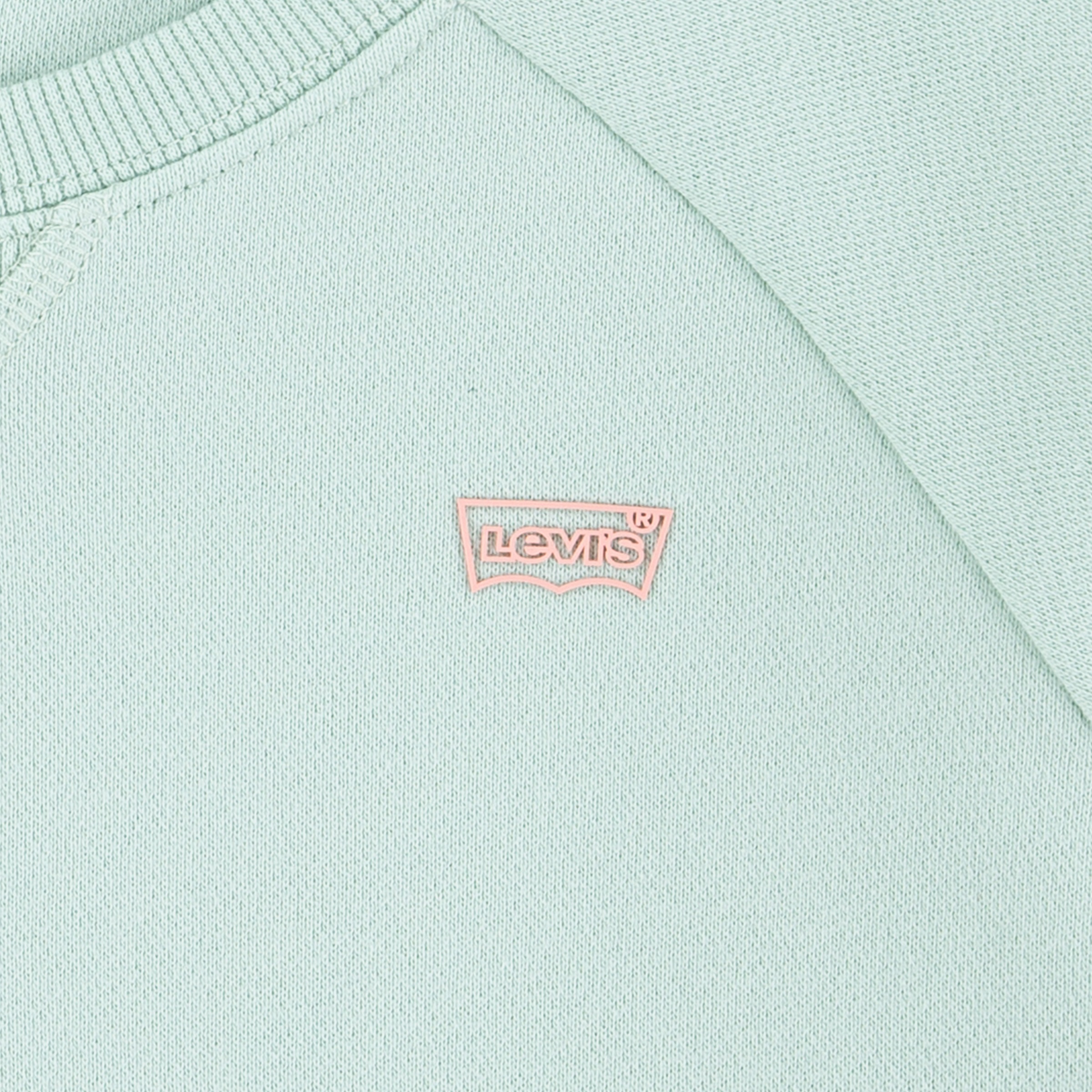 Levi's® Kids Sweatshirt »LVG LEVIS HD SILICONE BATWING«