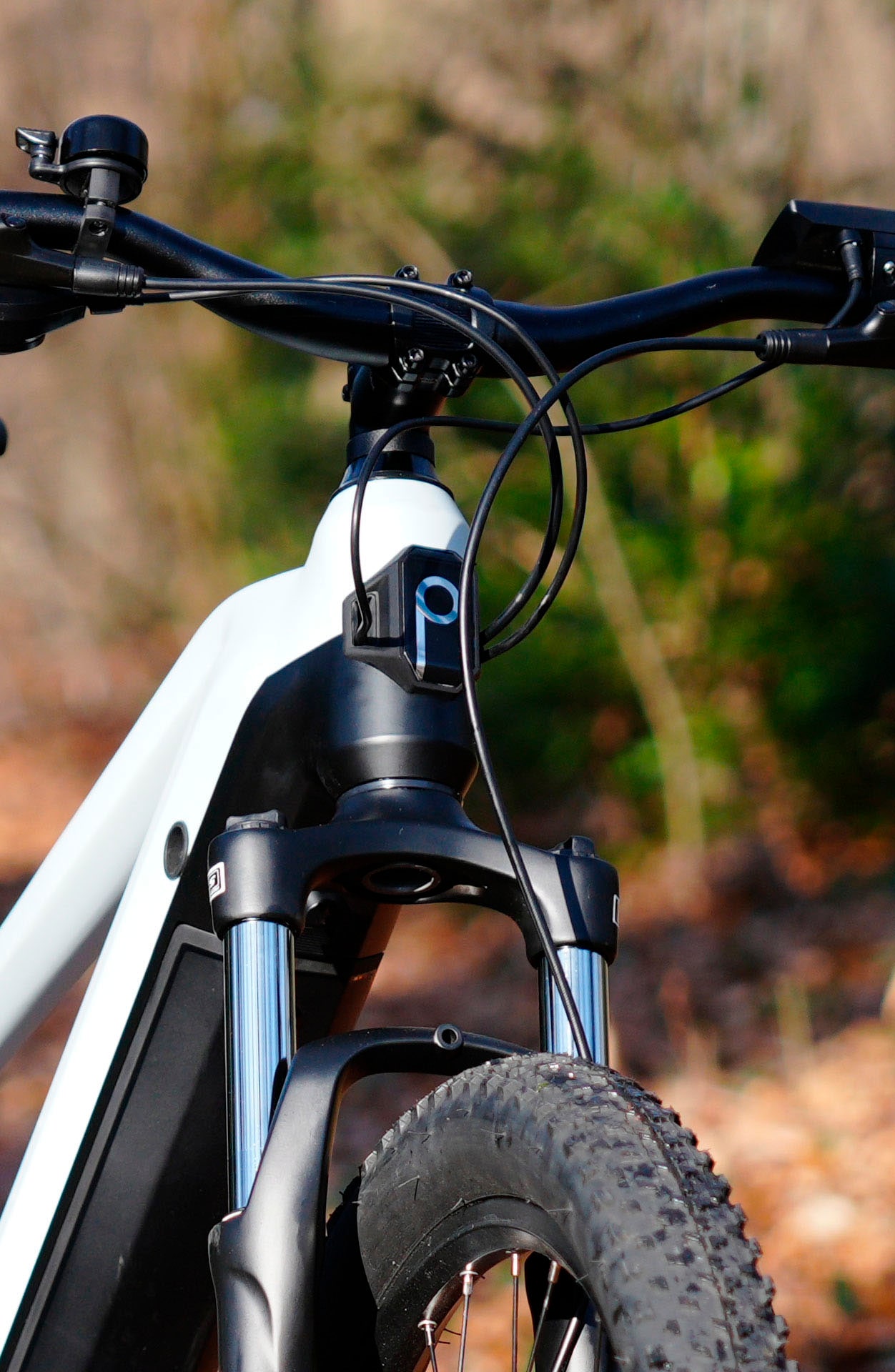 Prophete »Dice 3.8« 10 Gang Shimano Cues Schaltwerk Kettenschaltung Mittelmotor 250 W