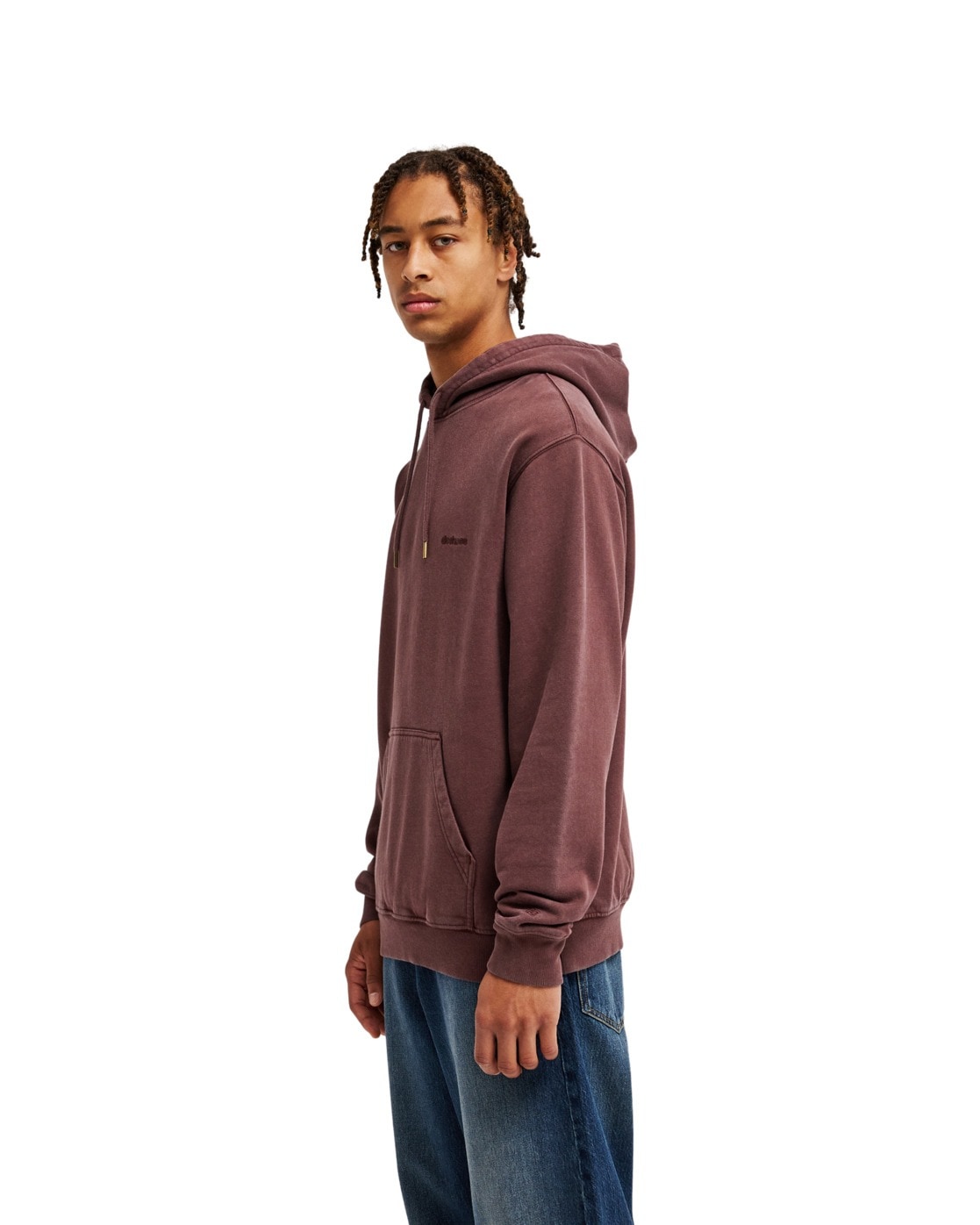 DC Shoes Kapuzensweatshirt »DC Lowcase«
