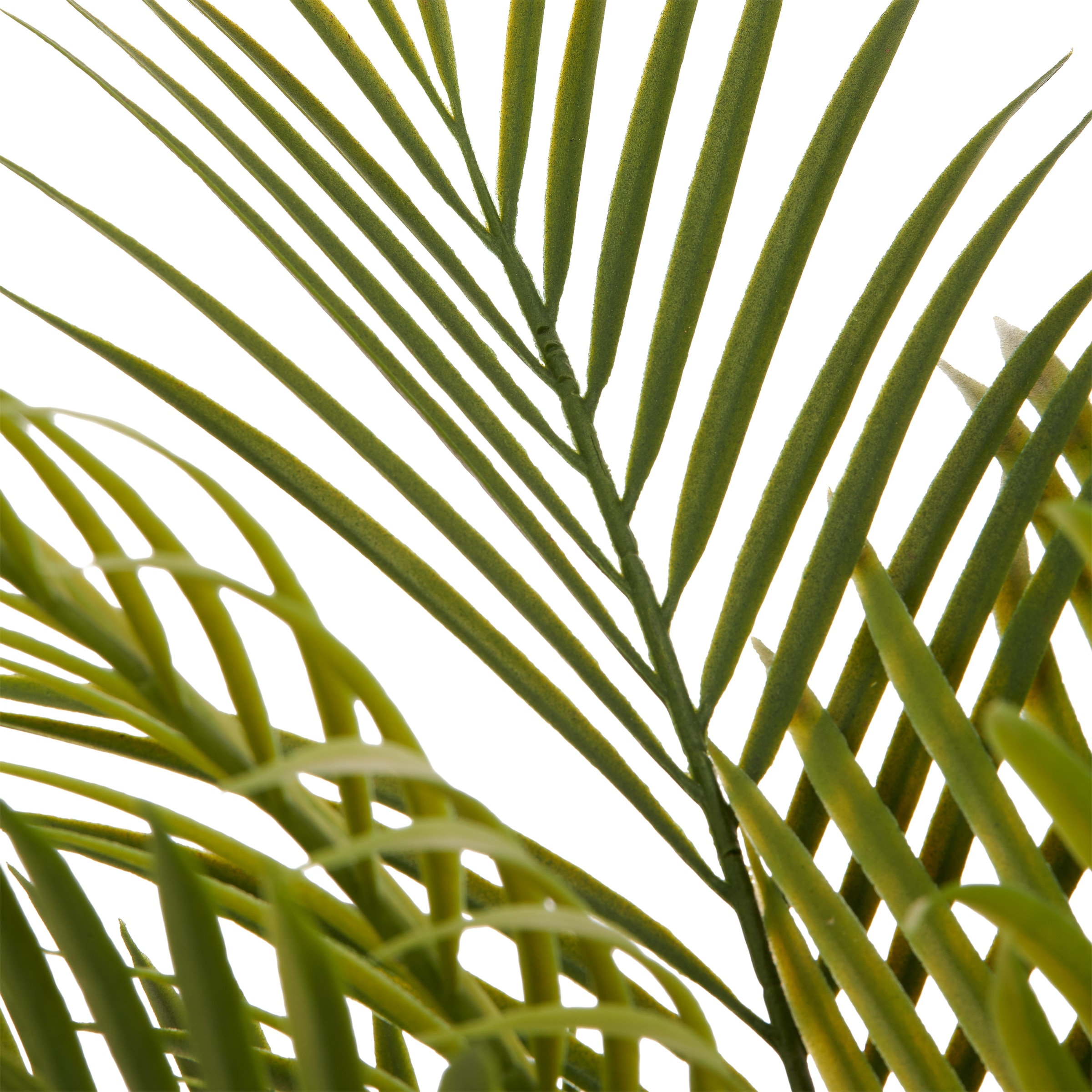 Creativ green Kunstpalme »Phoenixpalme roebelenii« mit naturgetreuen Palmwedeln